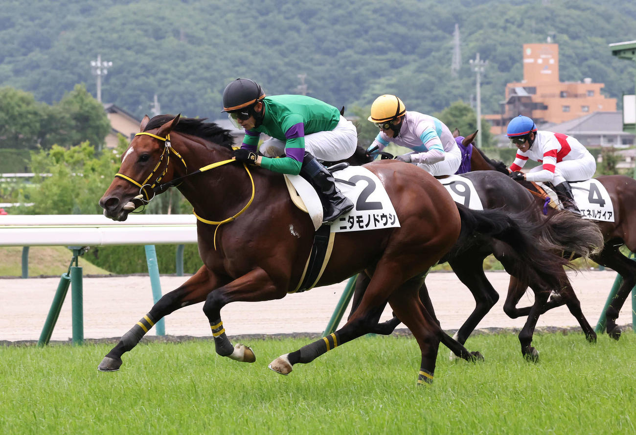 6月30日、2歳新馬戦を制したニタモノドウシ