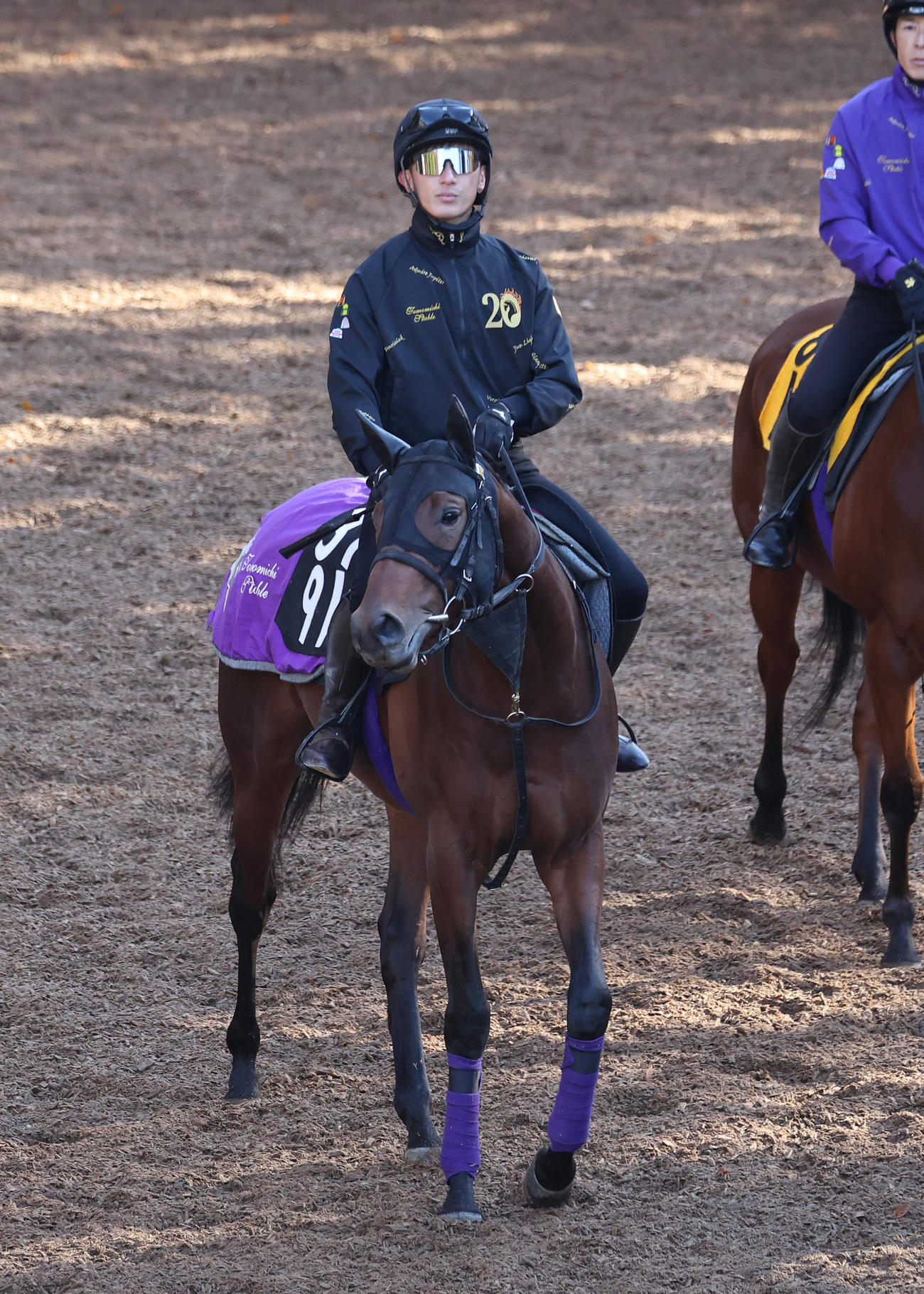 逍遥馬道で運動するクラヴァンス（撮影・白石智彦）