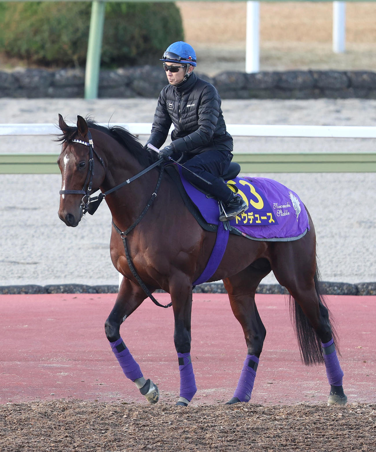 武豊騎手を背に馬場入りするドウデュース（撮影・白石智彦）
