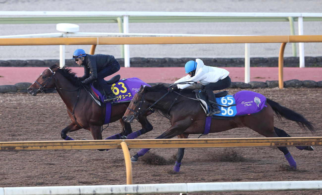 武豊騎手を背にCウッドをアドマイヤソラ（右）と併せ馬で追い切るドウデュース（撮影・白石智彦）