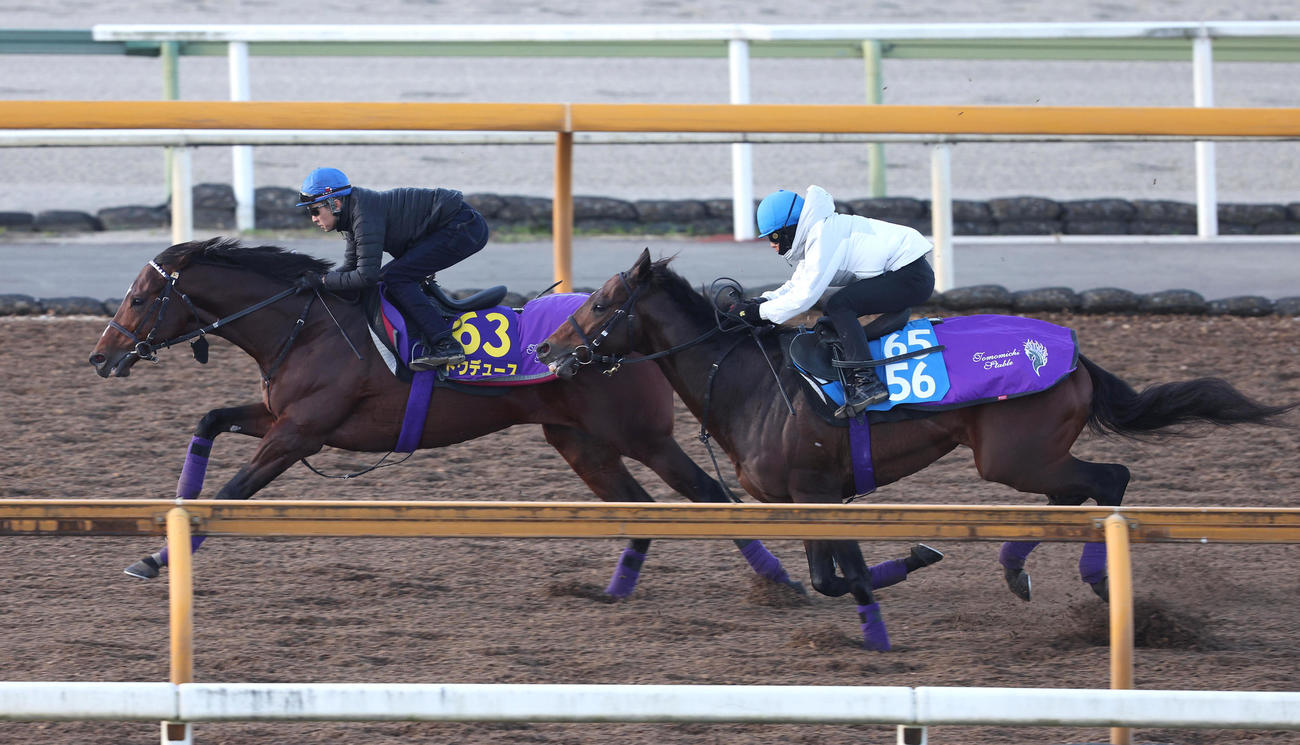武豊騎手を背にCウッドをアドマイヤソラ（右）と併せ馬で追い切るドウデュース（撮影・白石智彦）