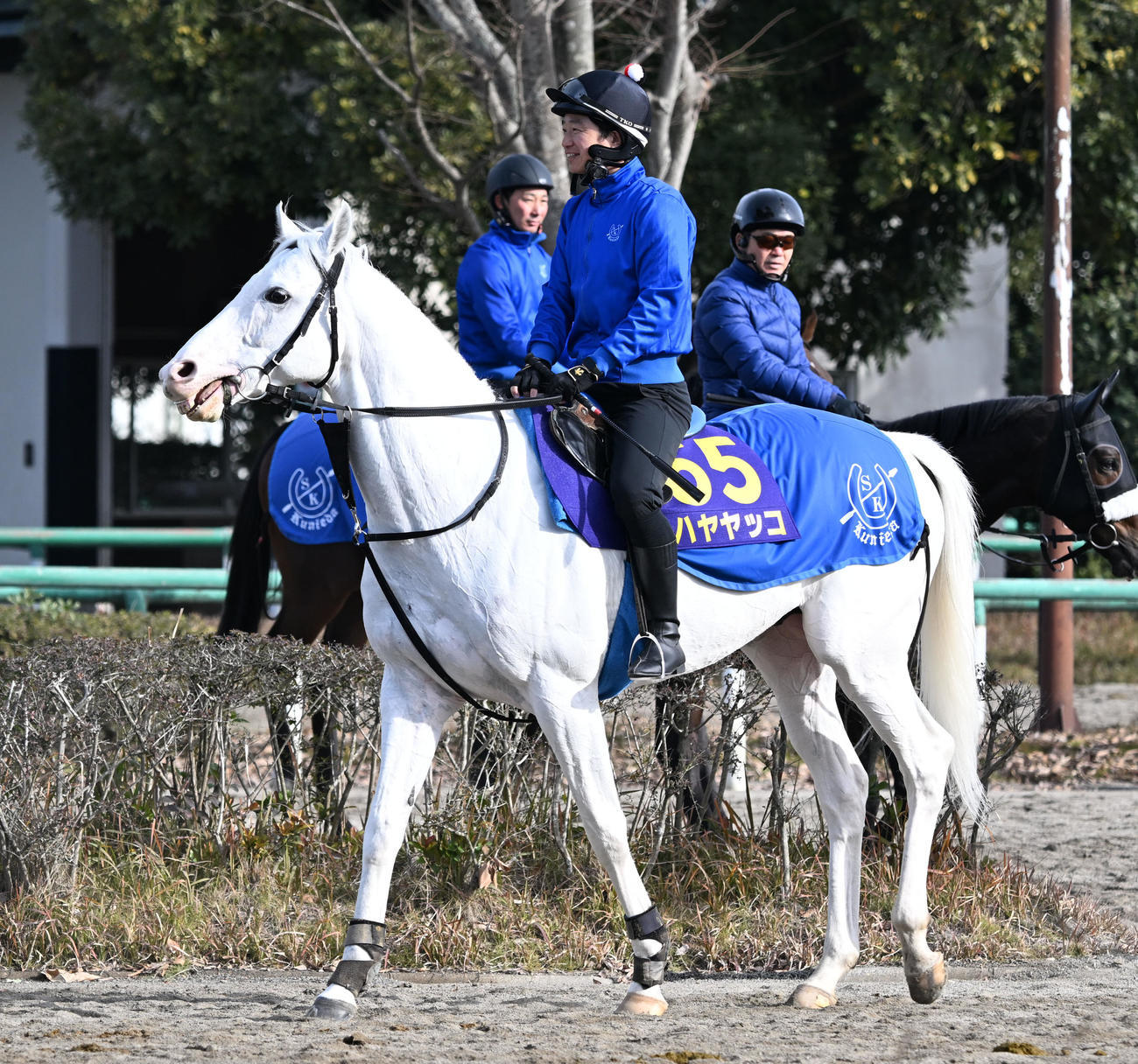 乗り運動するハヤヤッコ（撮影・千葉一成）