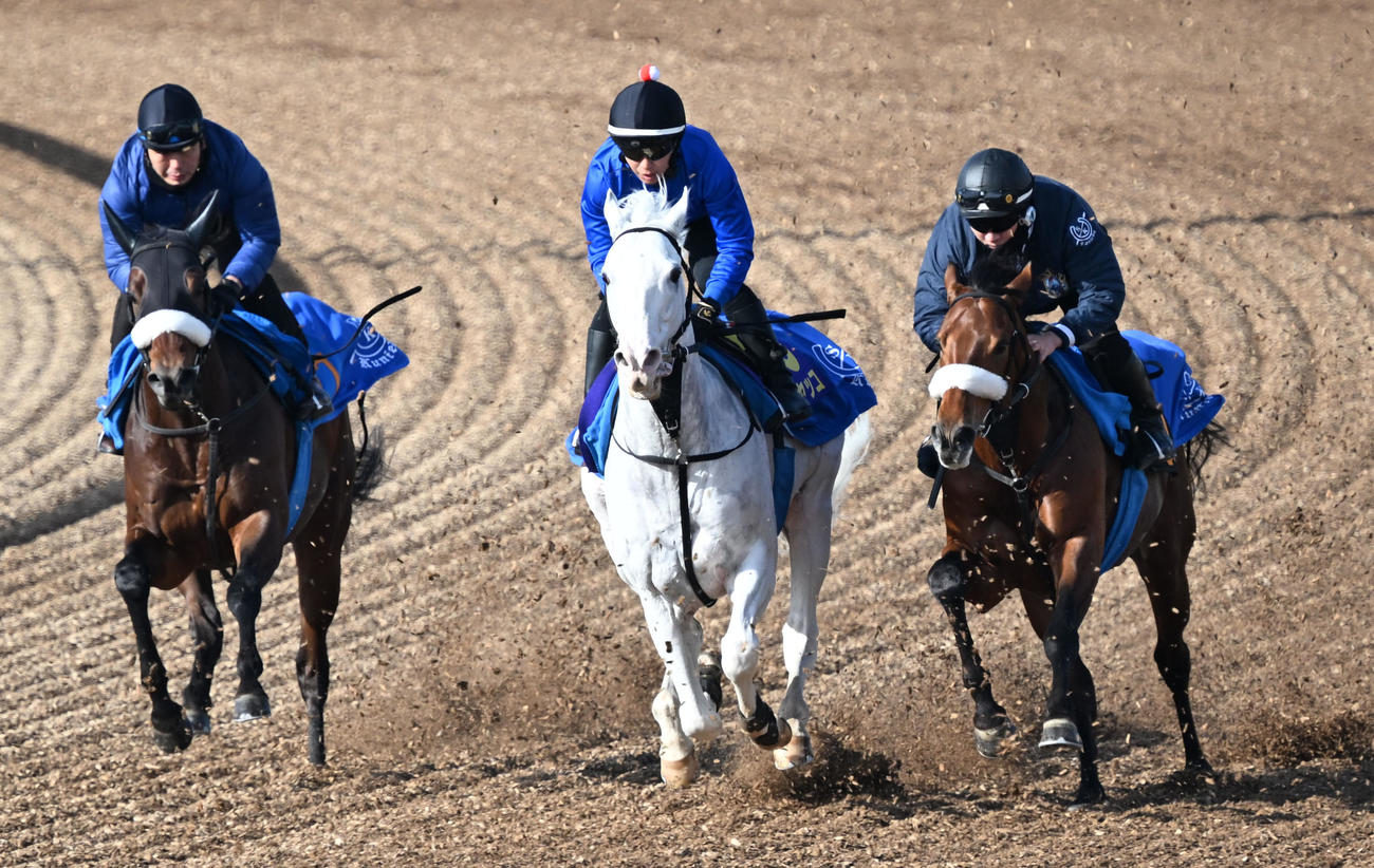 美浦ウッドで3頭併せて追い切るハヤヤッコ（中央）（撮影・千葉一成）