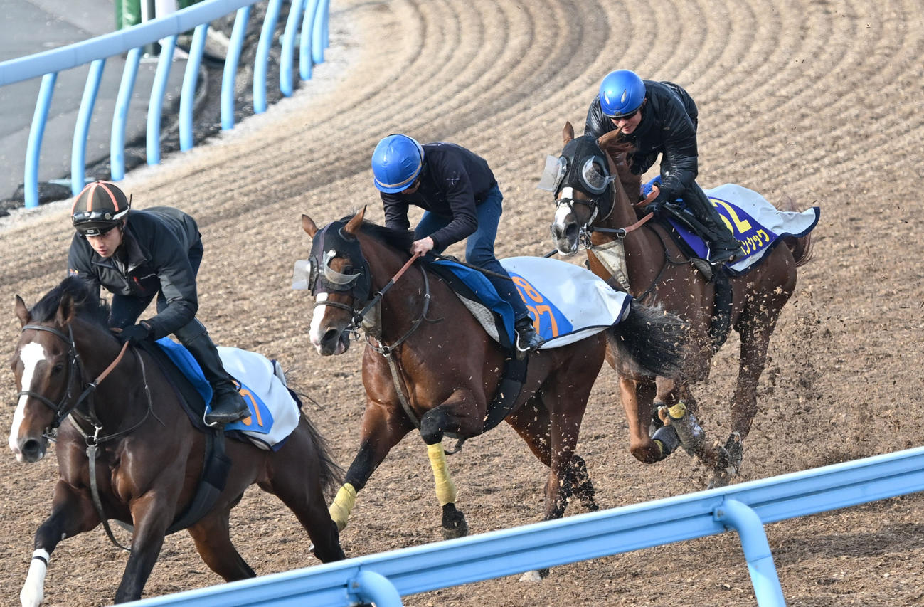 石神深一騎手を背に美浦ウッドを併せ馬で追い切るアーバンシック（右）（撮影・千葉一成）