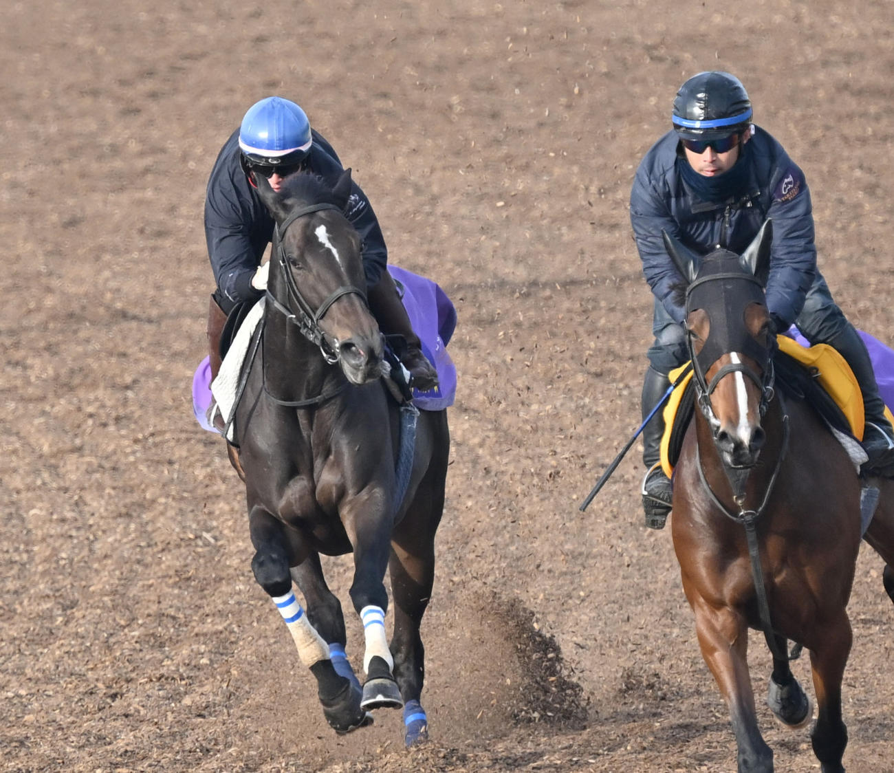 美浦ウッドで2頭併せて追い切るスターズオンアース（左）（撮影・千葉一成）