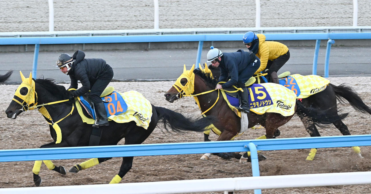 ムーア騎手を背に美浦ウッドを3頭併せて追い切るニタモノドウシ（中央）（撮影・千葉一成）