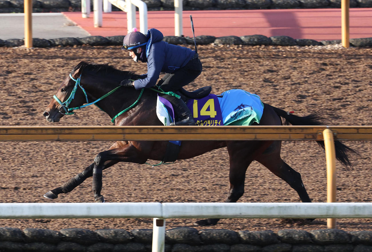 Cウッドを単走で追い切るトータルクラリティ（撮影・白石智彦）