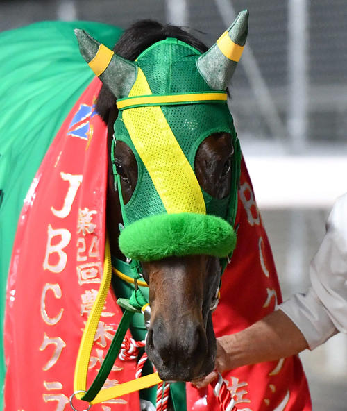 高木厩舎に転厩したウィルソンテソーロは予定通り東京大賞典へ、高木師