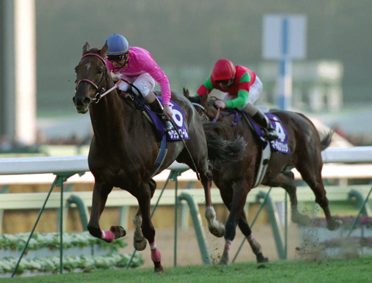 96年有馬記念を制したサクラローレル（左）