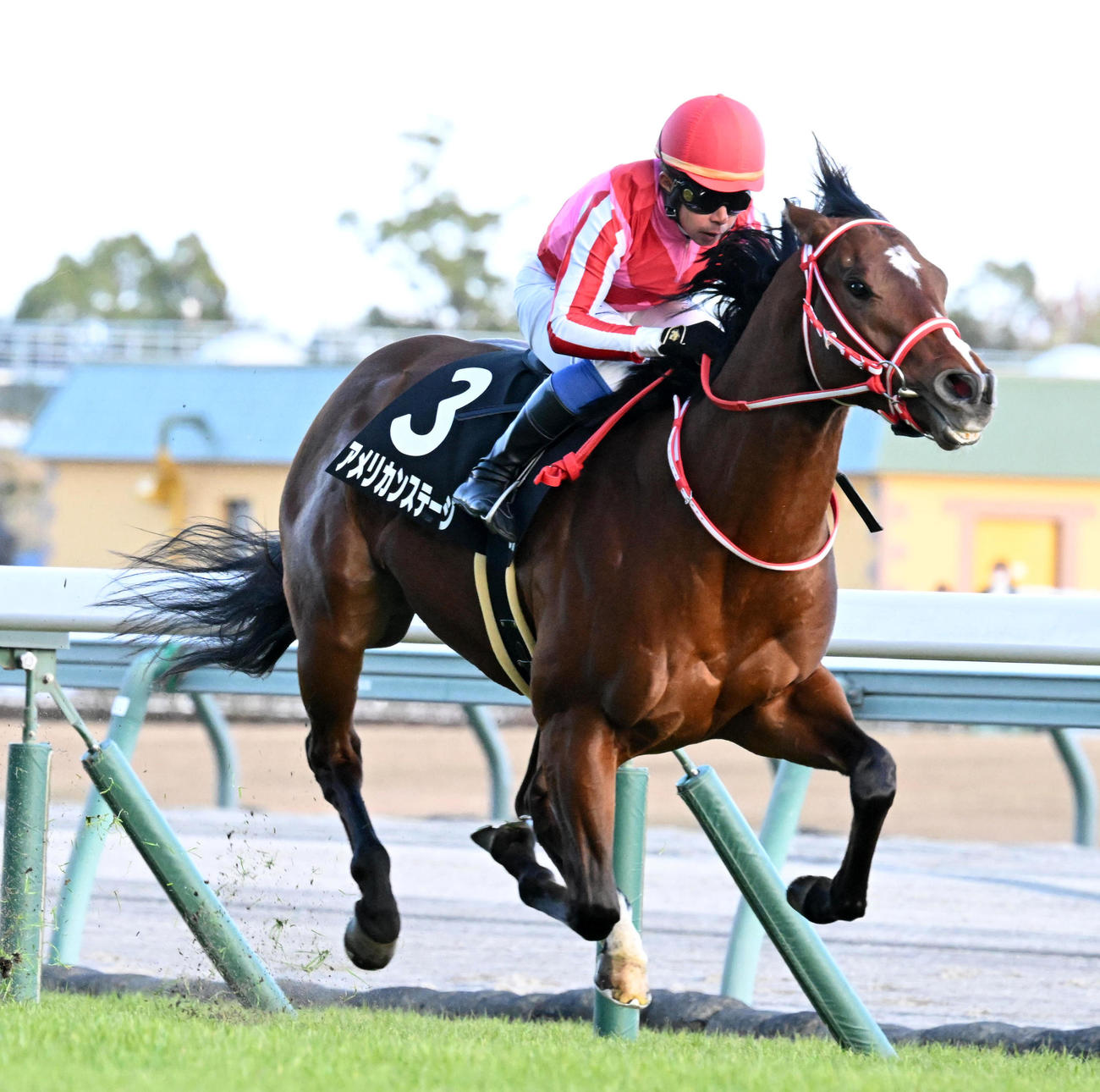 中京2歳ステークスを制したアメリカンステージ（撮影・前岡正明）
