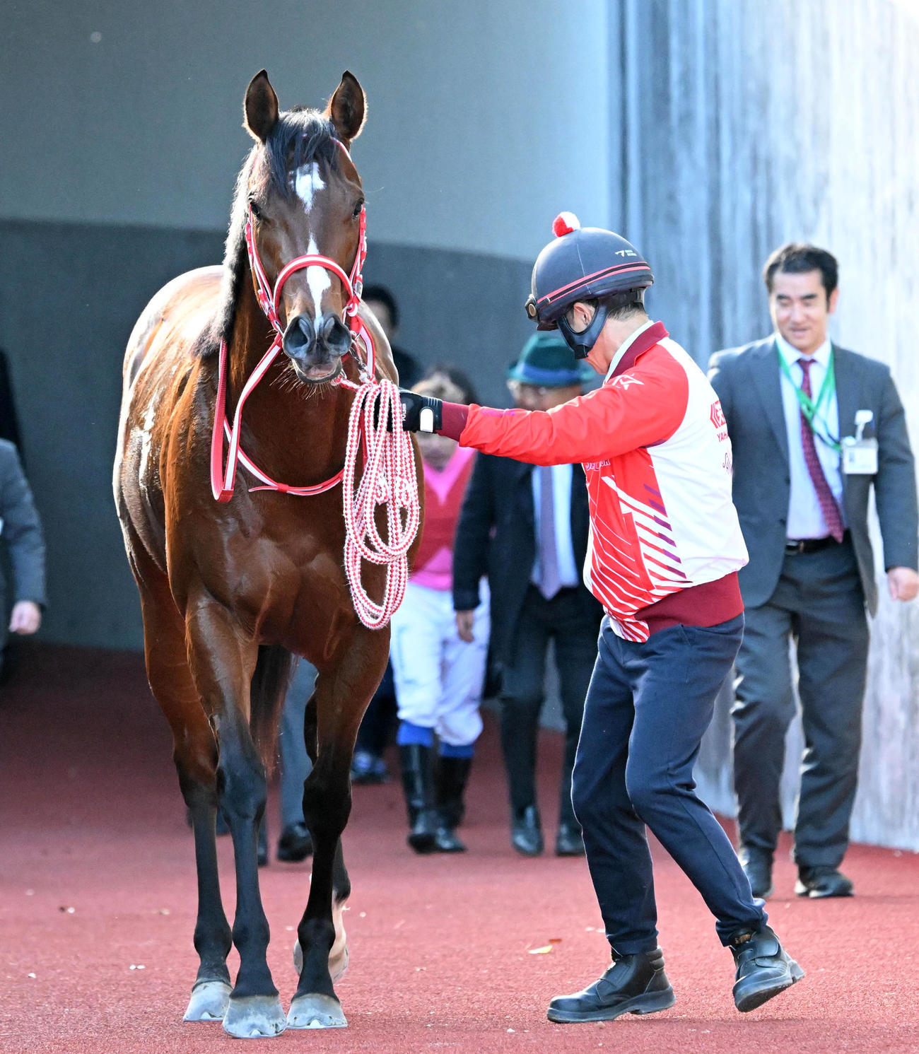 中京2歳ステークスを制したアメリカンステージ（撮影・前岡正明）