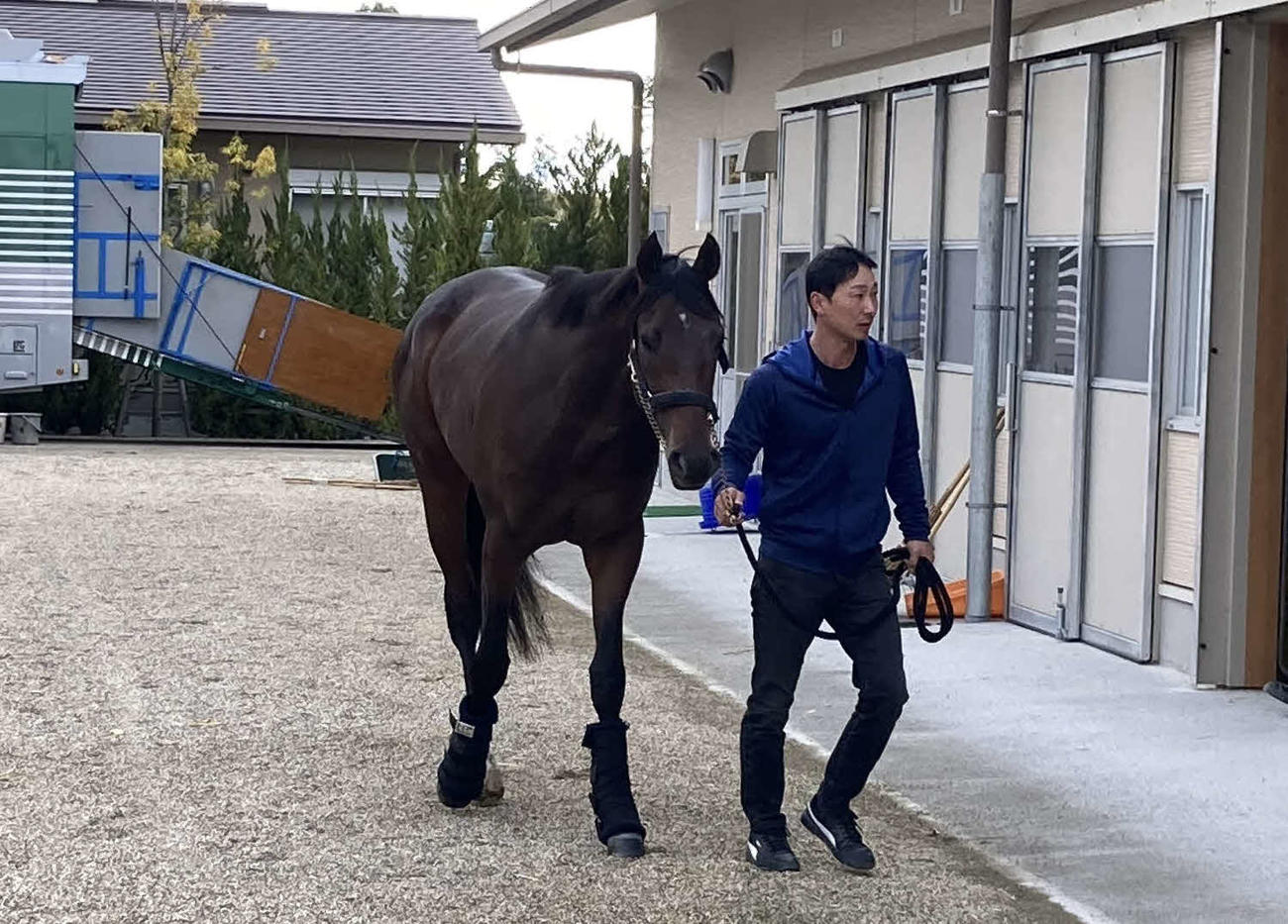 京都競馬場に到着したアルレッキーノ（撮影・太田尚樹）