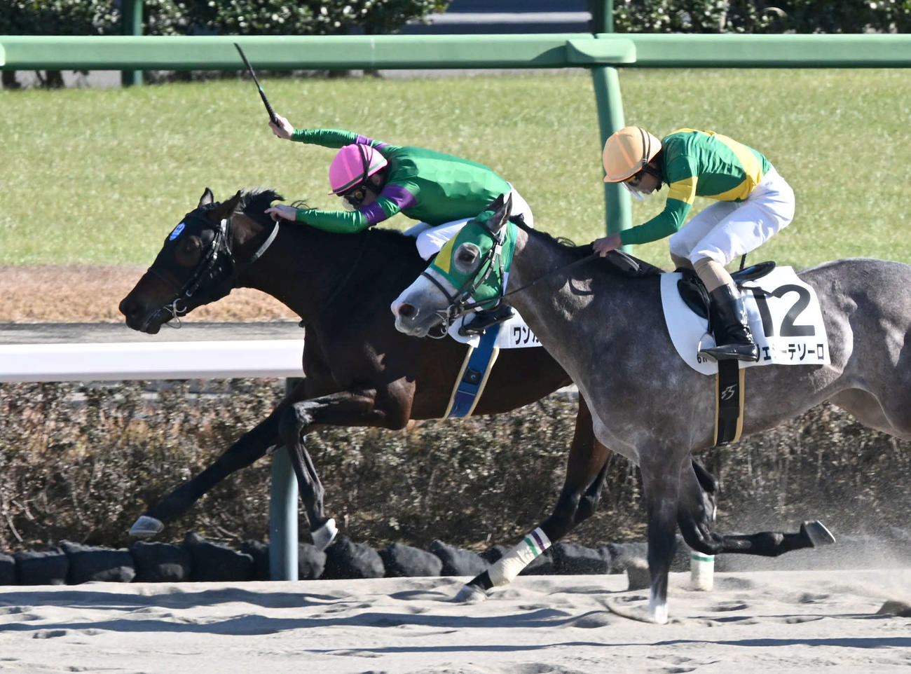 2歳新馬戦を制したワンカードフェローとC・ルメール騎手（左）（撮影・千葉一成）