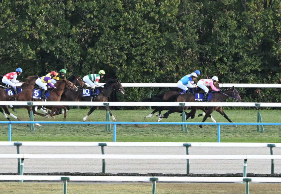 ダイシンラーに代打騎乗の横山典騎手は向こう正面でハナを取る（撮影・和賀正仁）