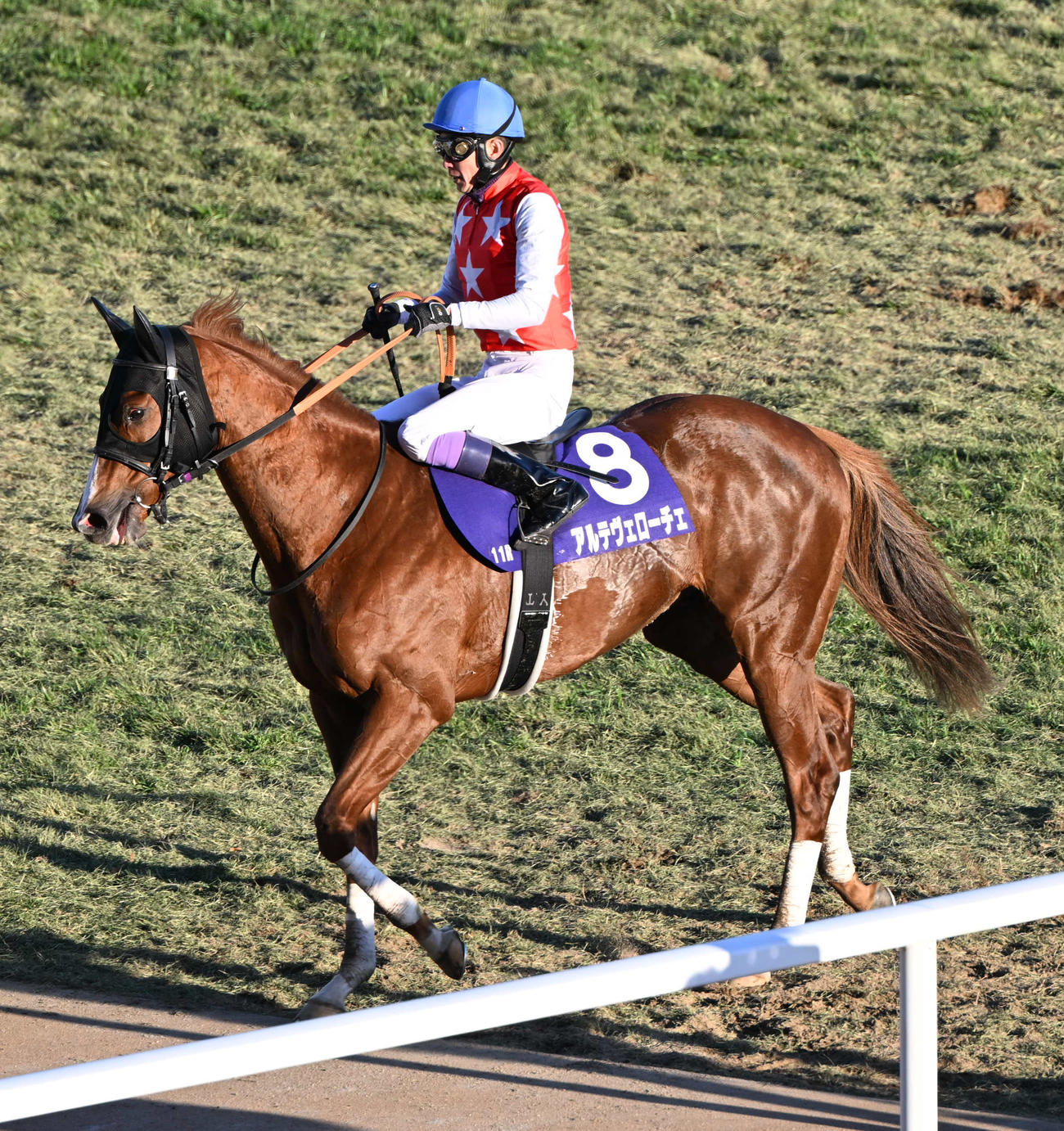 朝日杯FS、5着に敗れたアルテヴェローチェと武豊騎手（撮影・和賀正仁）