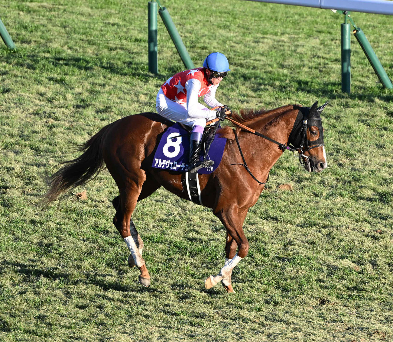 朝日杯FS、5着に敗れたアルテヴェローチェと武豊騎手（撮影・和賀正仁）