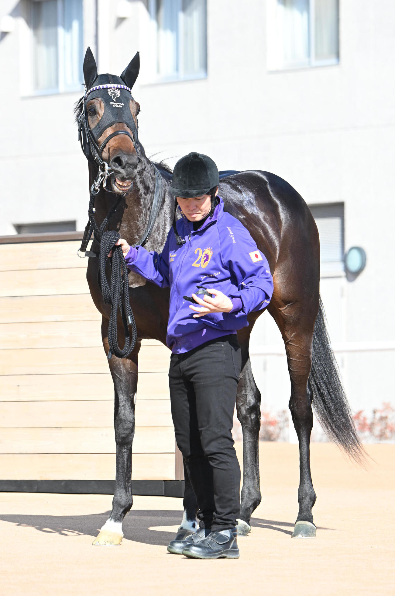 2戦目で初勝利を挙げたショウヘイ（撮影・和賀正仁）