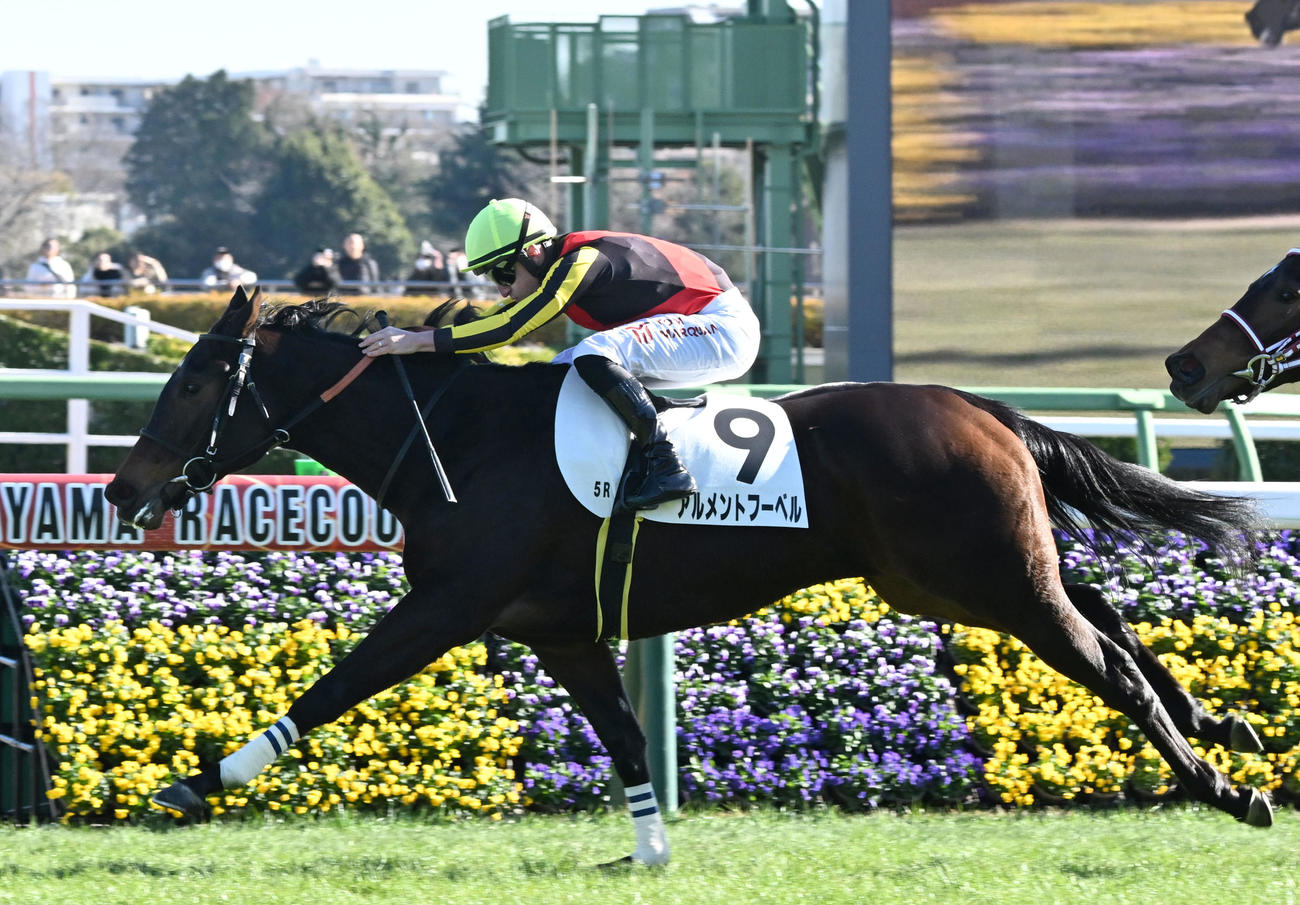 中山5R、2歳新馬戦を制したアルメントフーベルとマーカンド騎手（撮影・千葉一成）