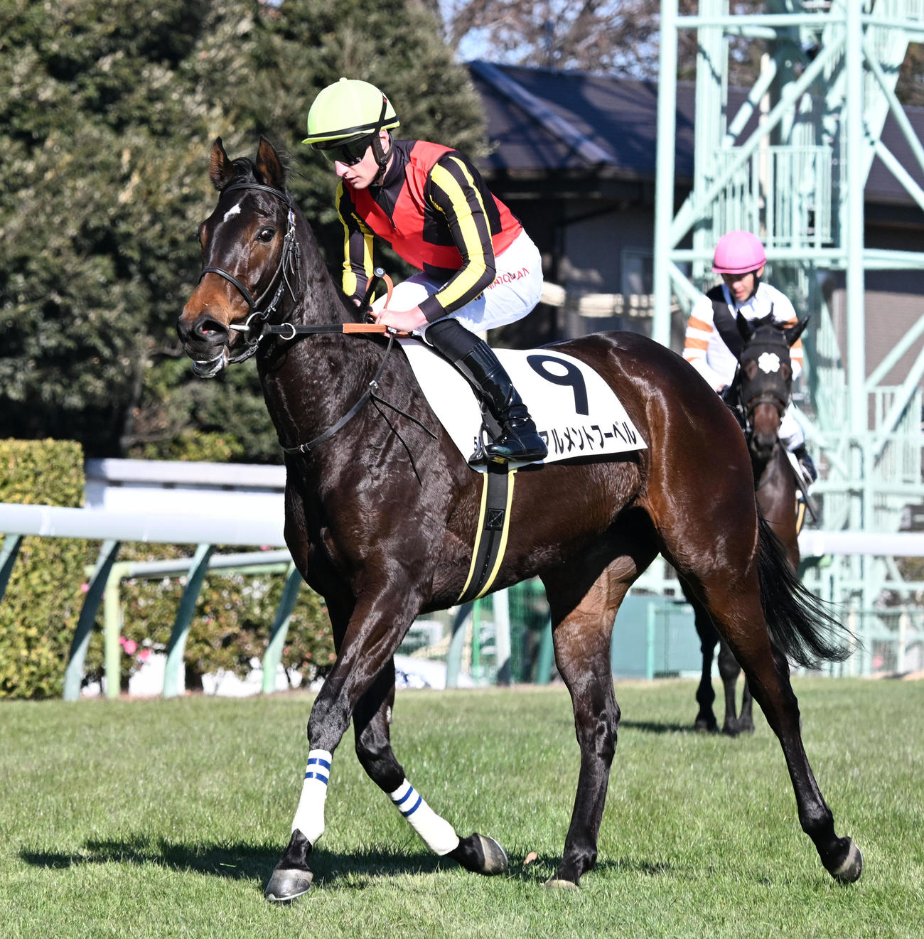 中山5R、2歳新馬戦を制したアルメントフーベルとマーカンド騎手（撮影・千葉一成）