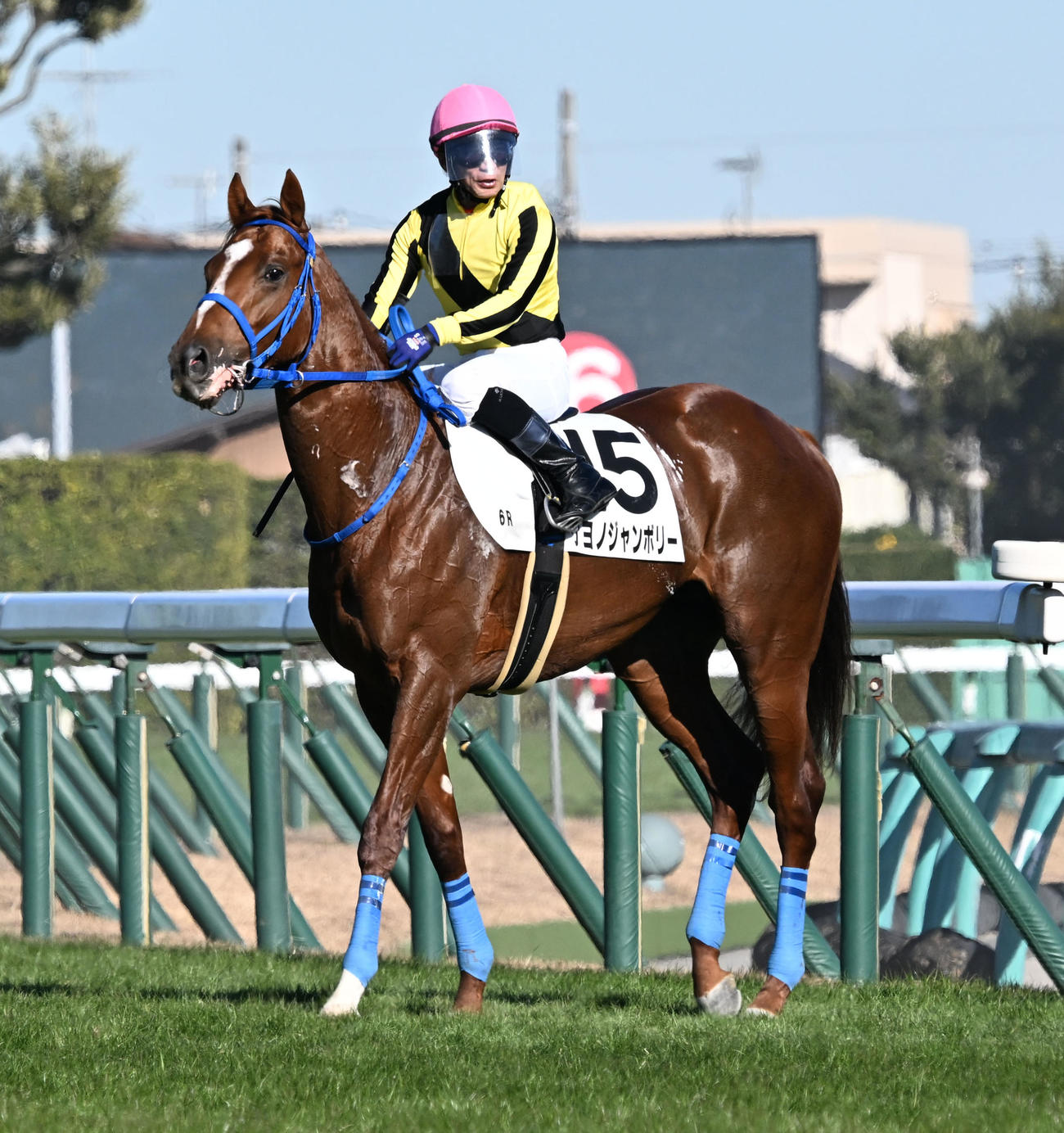 中山6R、2歳新馬戦を制したサヨノジャンボリーと内田騎手。右は2着のピッツァナポリ（撮影・千葉一成）