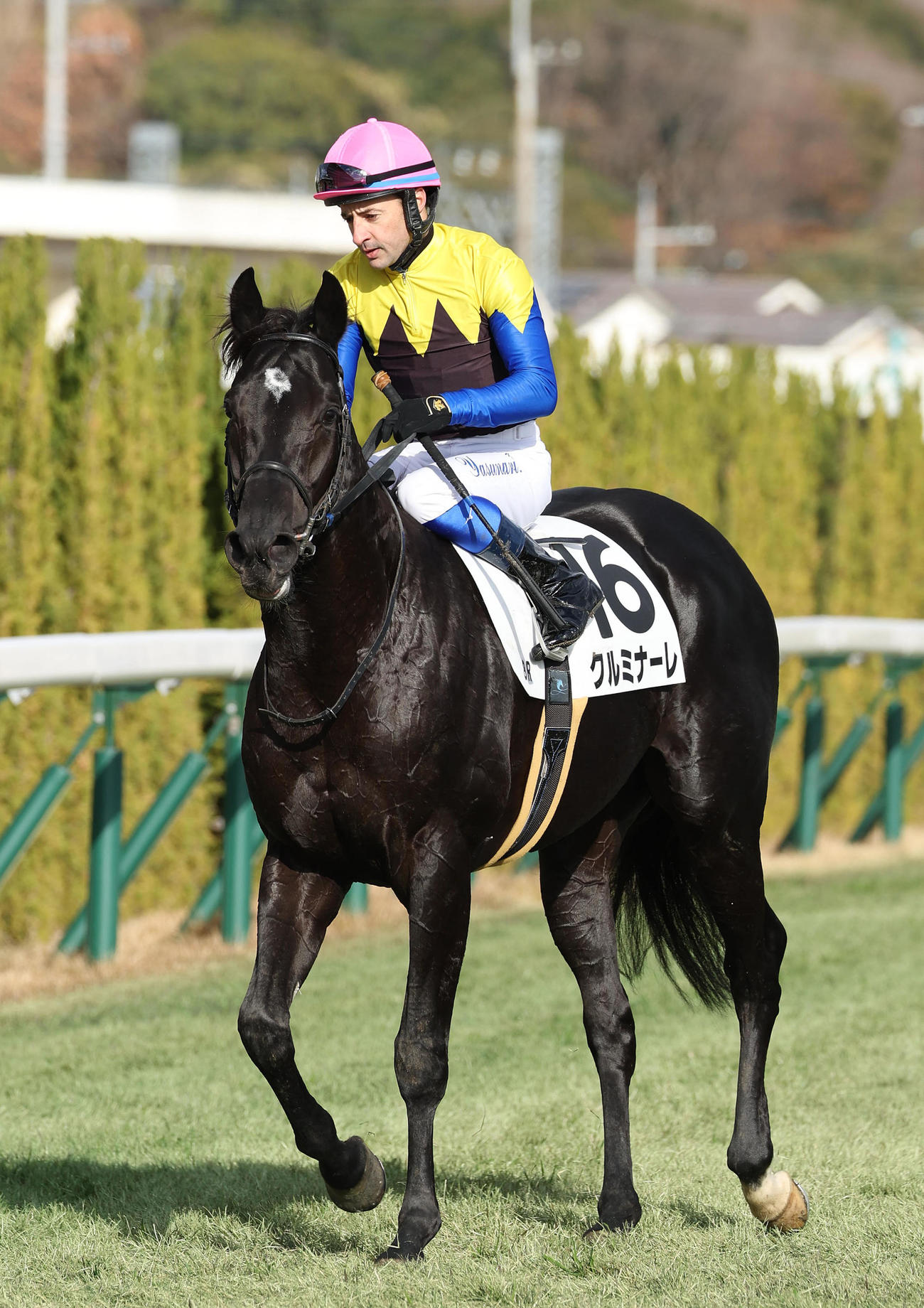 京都8R、岩田康誠騎手のジョッキーパンツを履いたルメール騎手