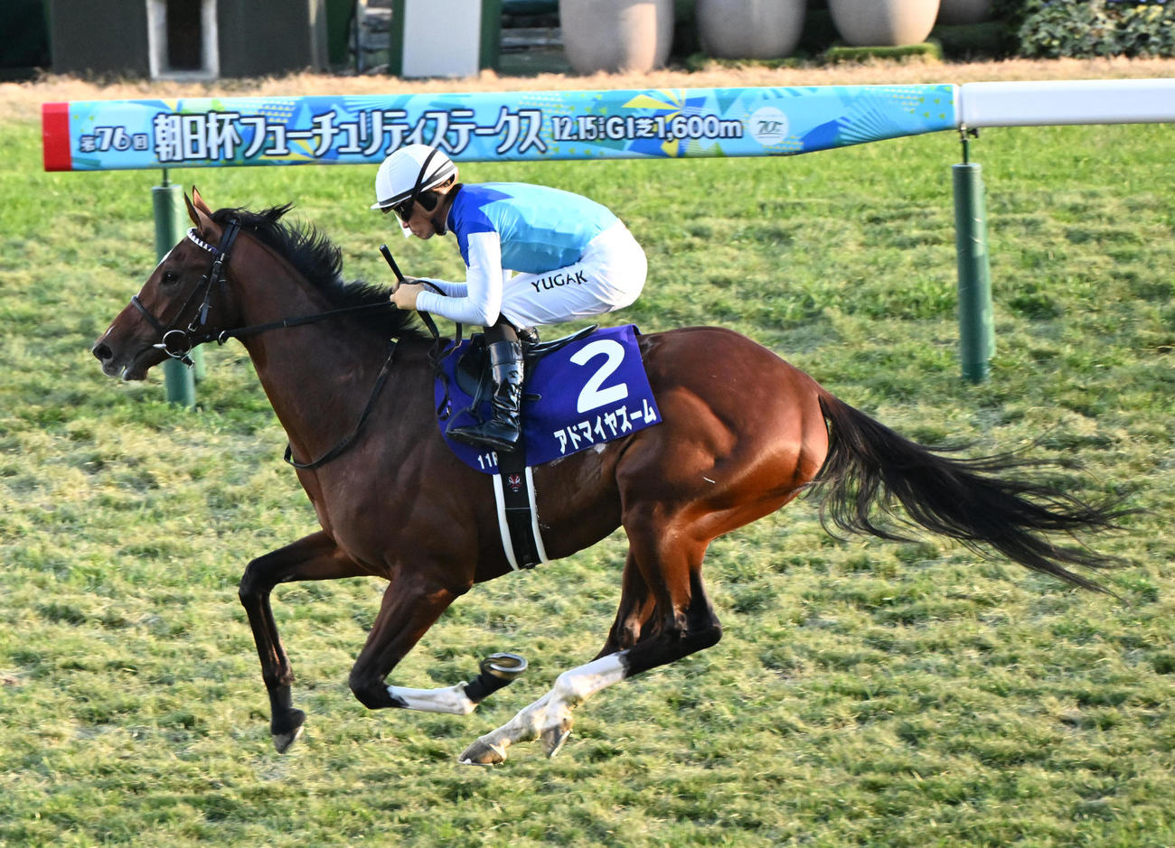 直線で抜けだし朝日杯FSを制するアドマイヤズームと川田将雅騎手（撮影・和賀正仁）