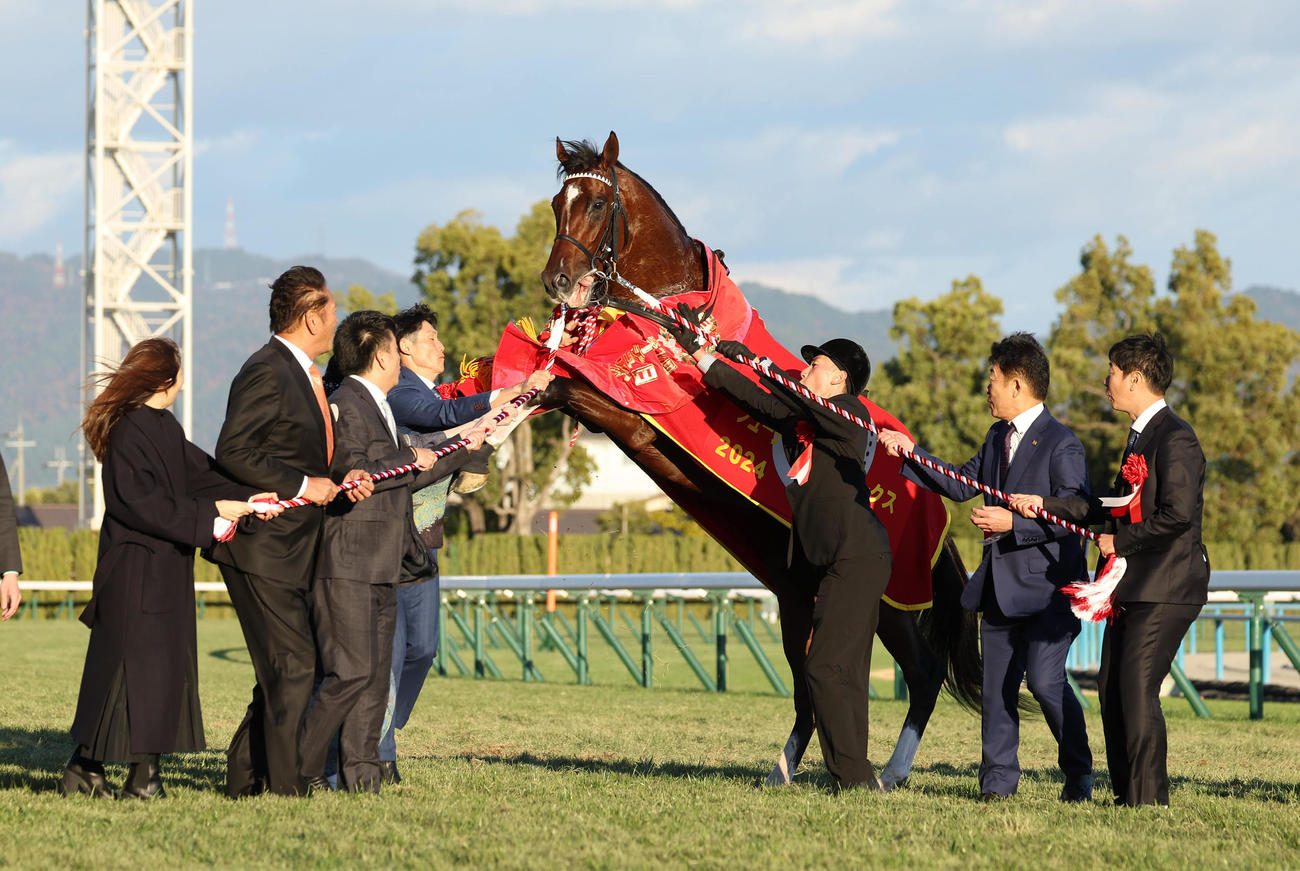 口取りで立ち上がるアドマイヤズーム（撮影・白石智彦）