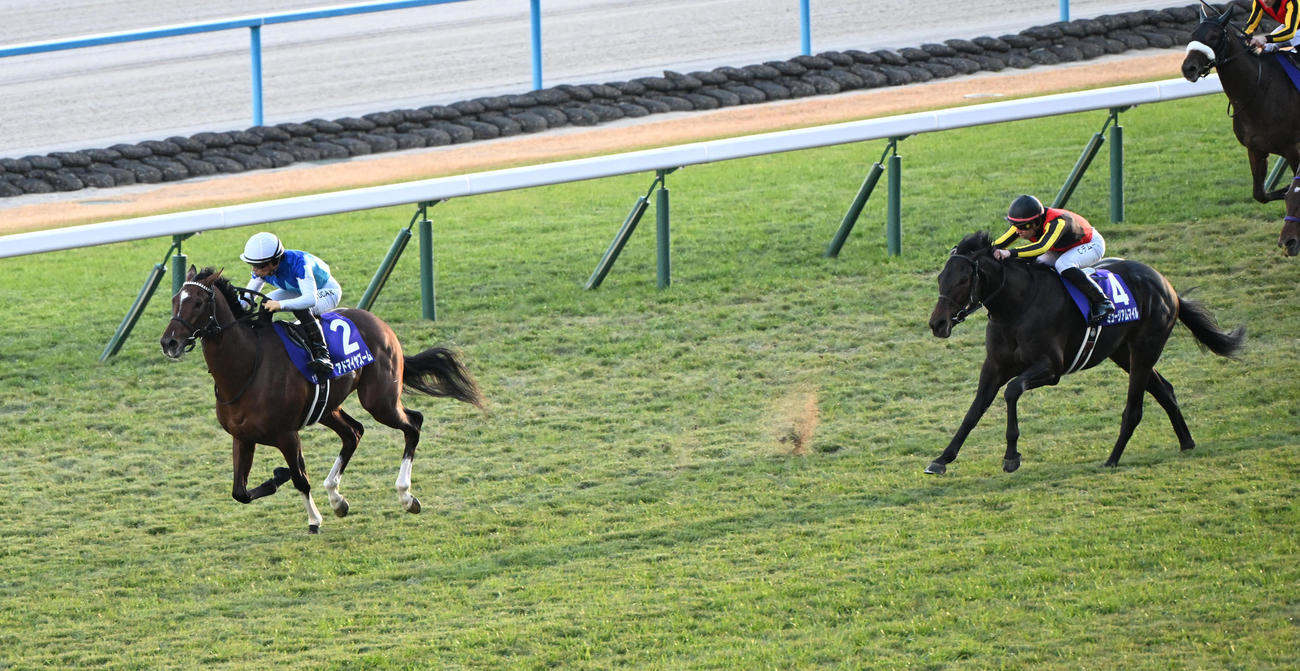 朝日杯FSで2着に入ったミュージアムマイルとＣ・デムーロ騎手（右）、左は優勝したアドマイヤズーム