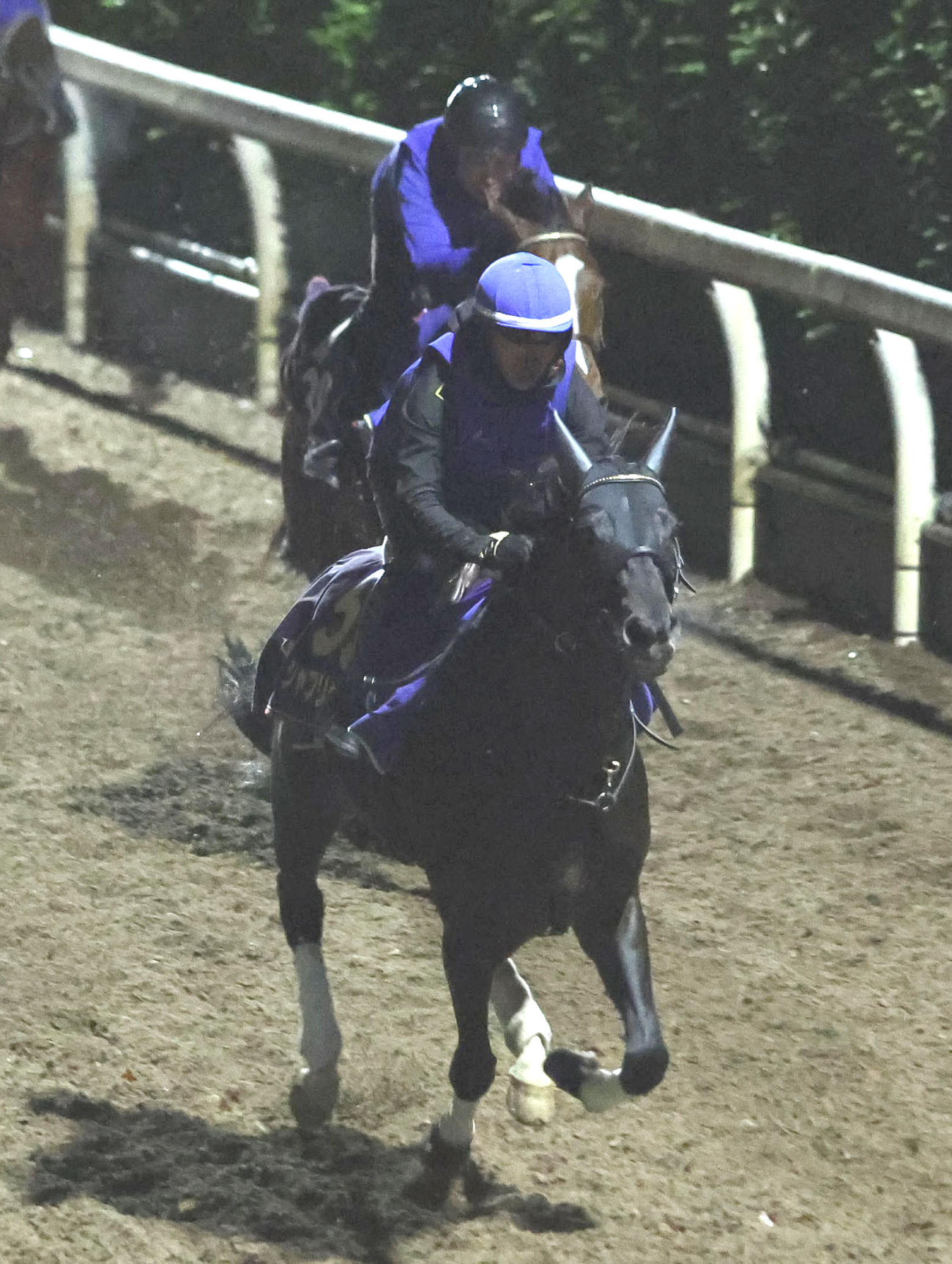 西塚騎手を背に坂路をナイトエラント（奥）と併せ馬で追い切るシャフリヤール（撮影・白石智彦）