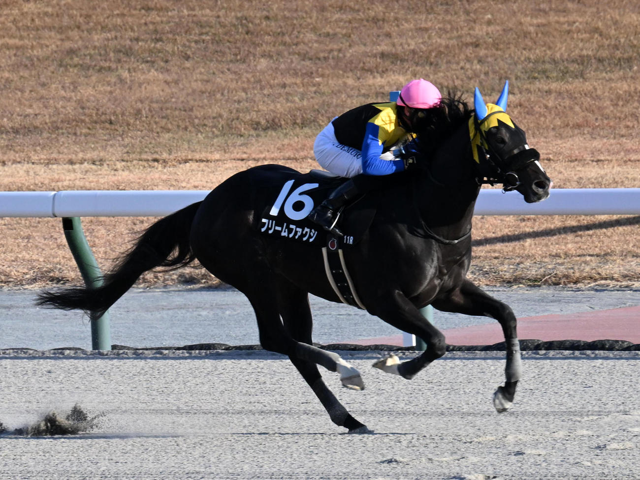 中京11R、ゴールドムーンSを制したフリームファクシ（撮影・前岡正明）