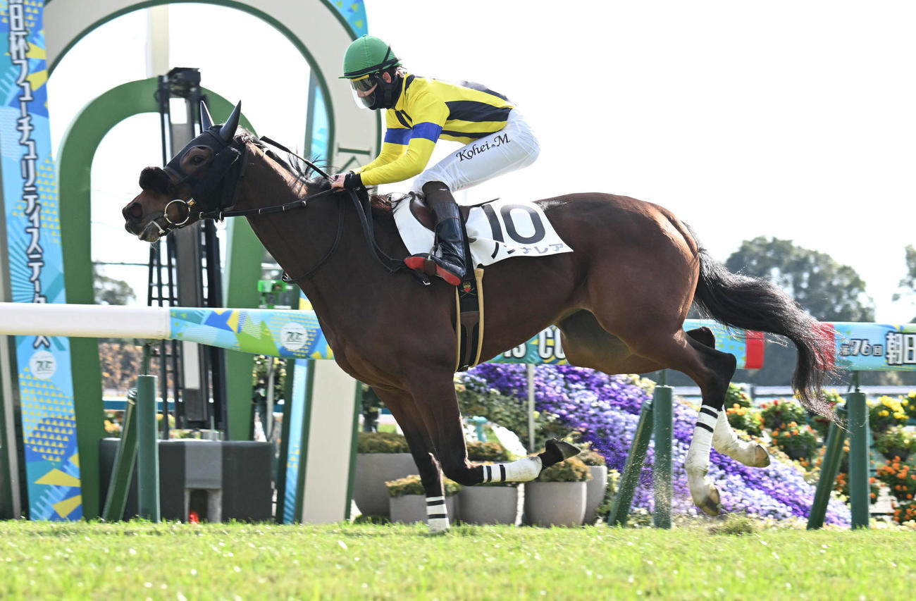 京都5R　好位から抜け出し新馬戦を制するノクナレアと松山騎手（撮影・和賀正仁）