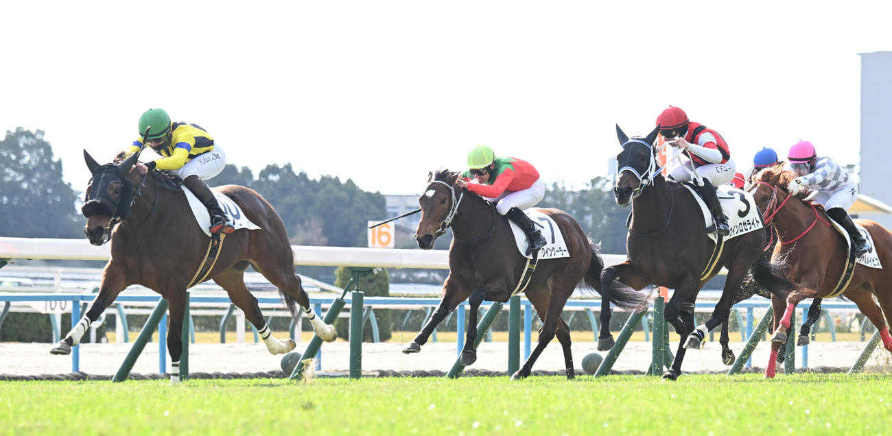 京都5R　好位から抜け出し新馬戦を制するノクナレアと松山騎手（撮影・和賀正仁）