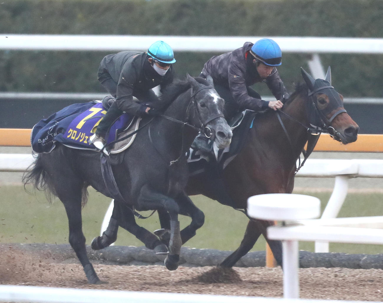 Cウッドで併せ馬で追い切るクロノジェネシス（左）（2020年12月23日撮影）