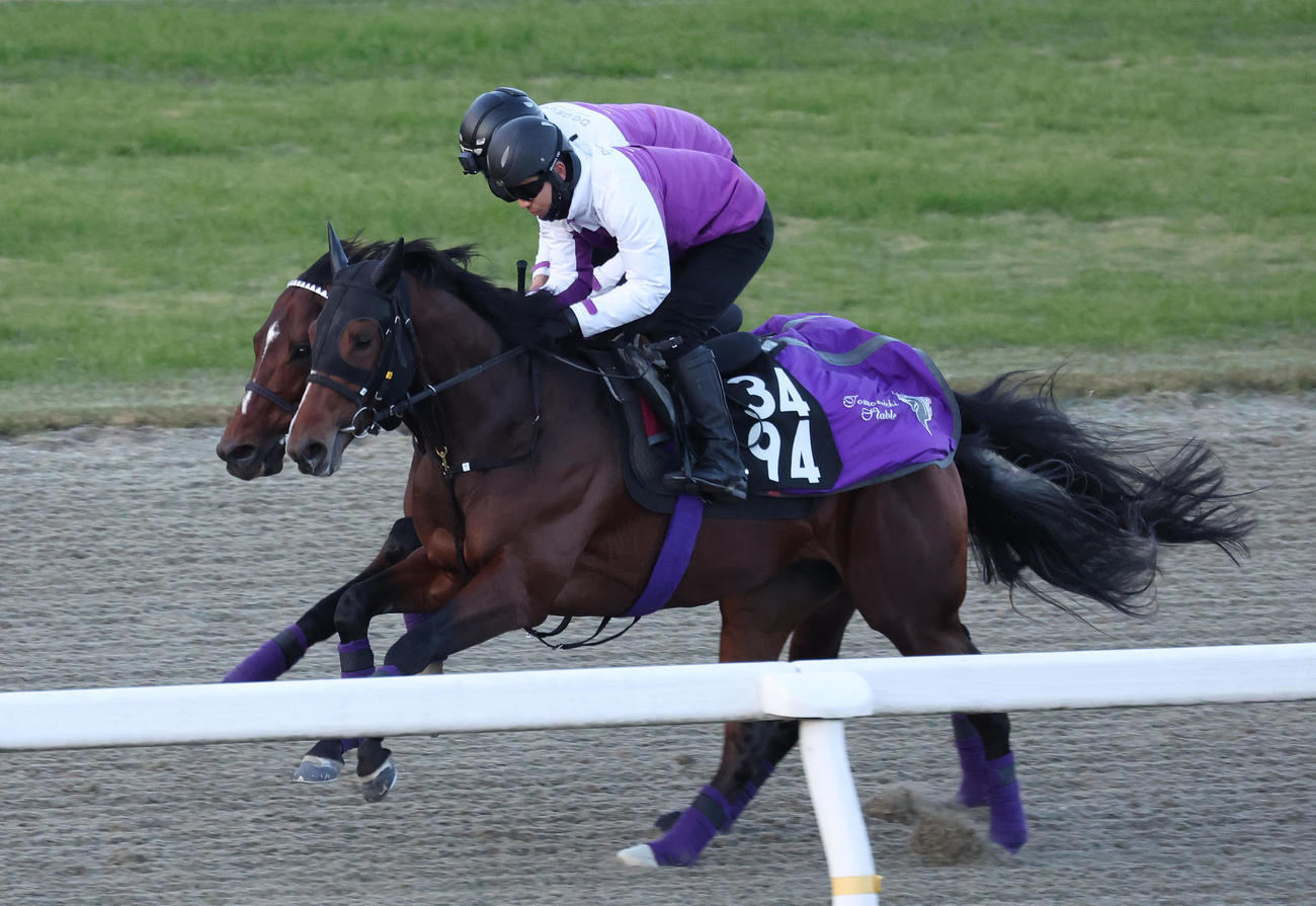 ポリトラックをバズアットビート（右）と併せ馬で追い切るドウデュース（撮影・白石智彦）
