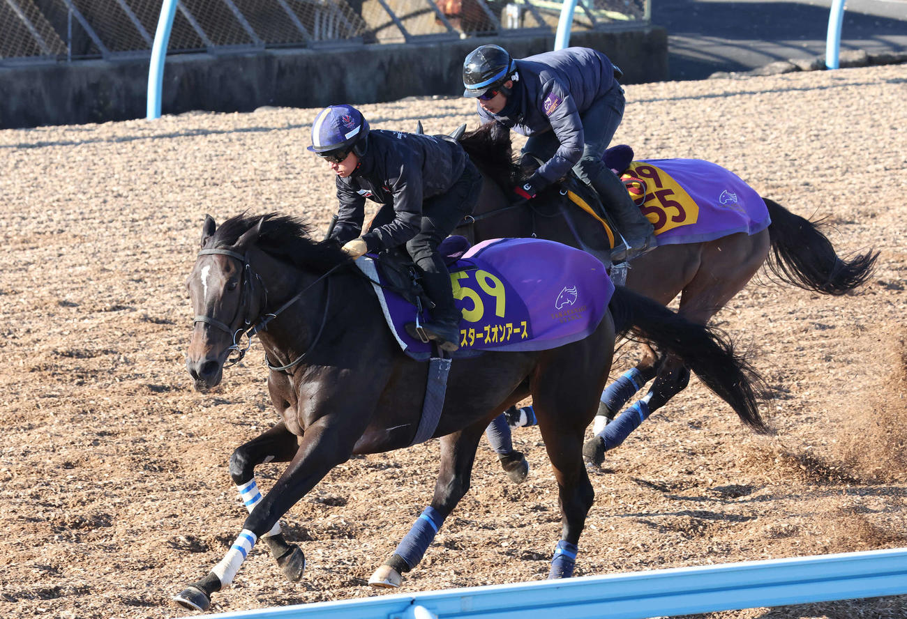 スターズオンアースは川田騎手を背に美浦ウッドで追い切られた（撮影・丹羽敏通）