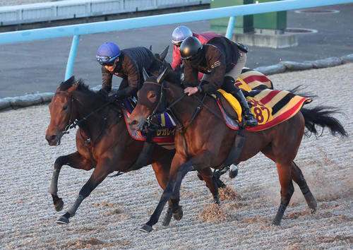 有馬記念】レガレイラ戸崎騎手「気分良く走れればおのずといい脚を