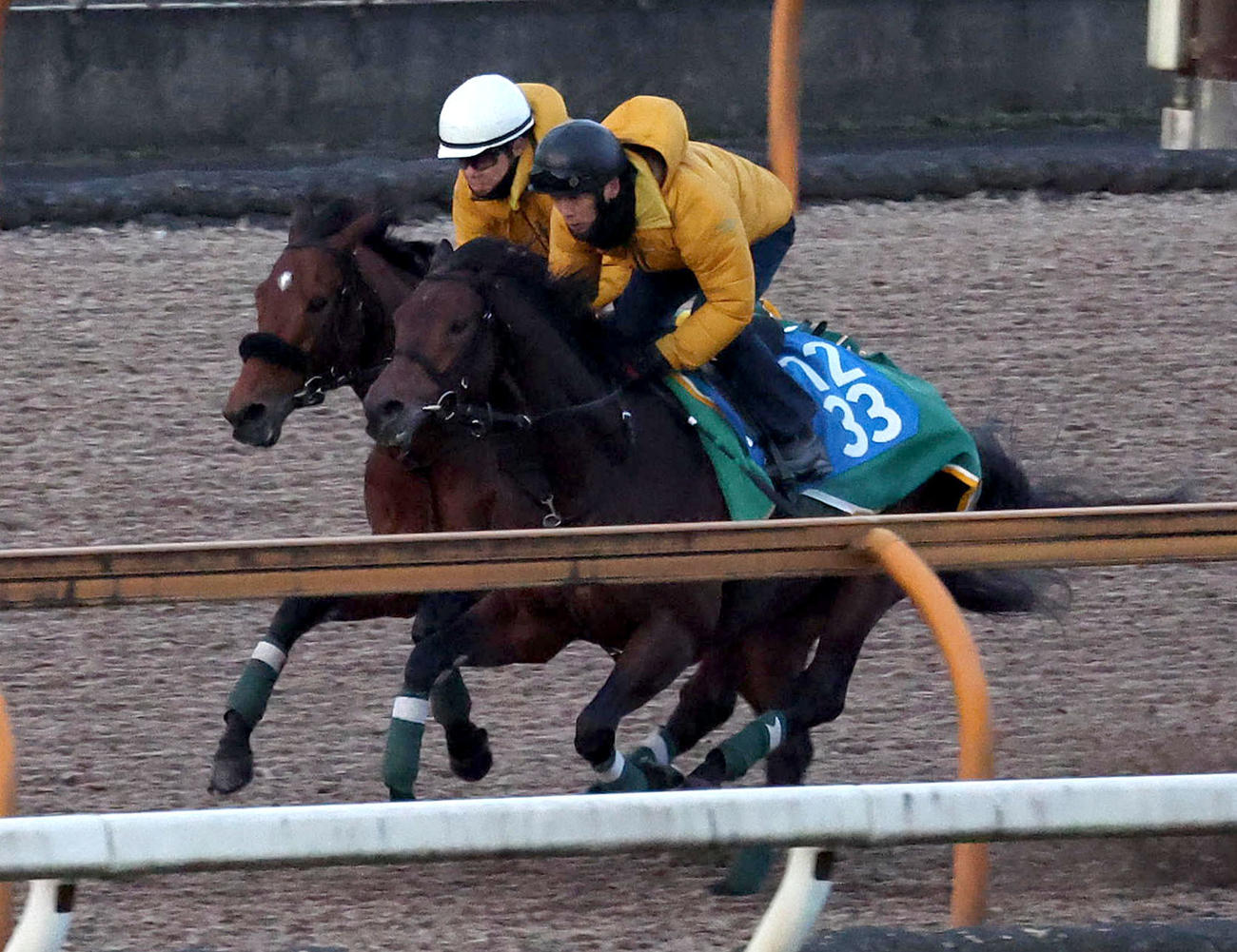 Cウッドをセオ（右）と併せ馬で追い切るベラジオオペラ（撮影・白石智彦）