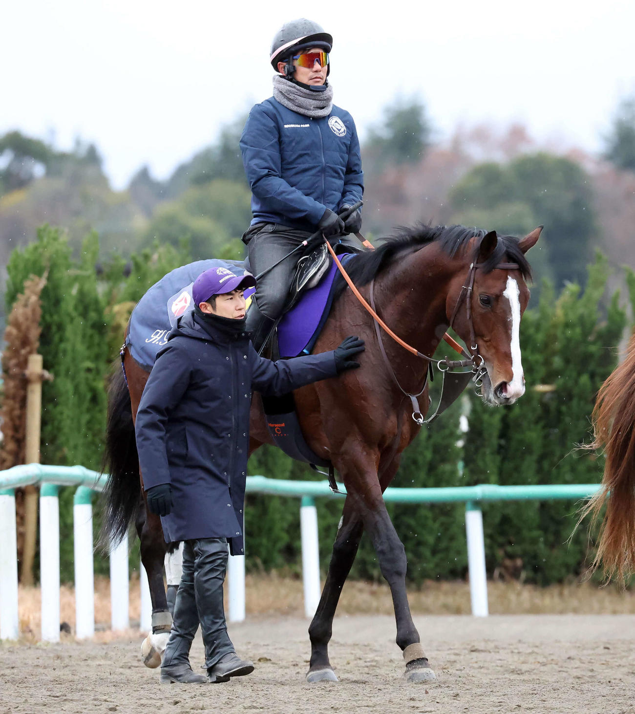 最終追い切りを終えて馬場を出るローシャムパークと田中博師（手前）（撮影・丹羽敏通）