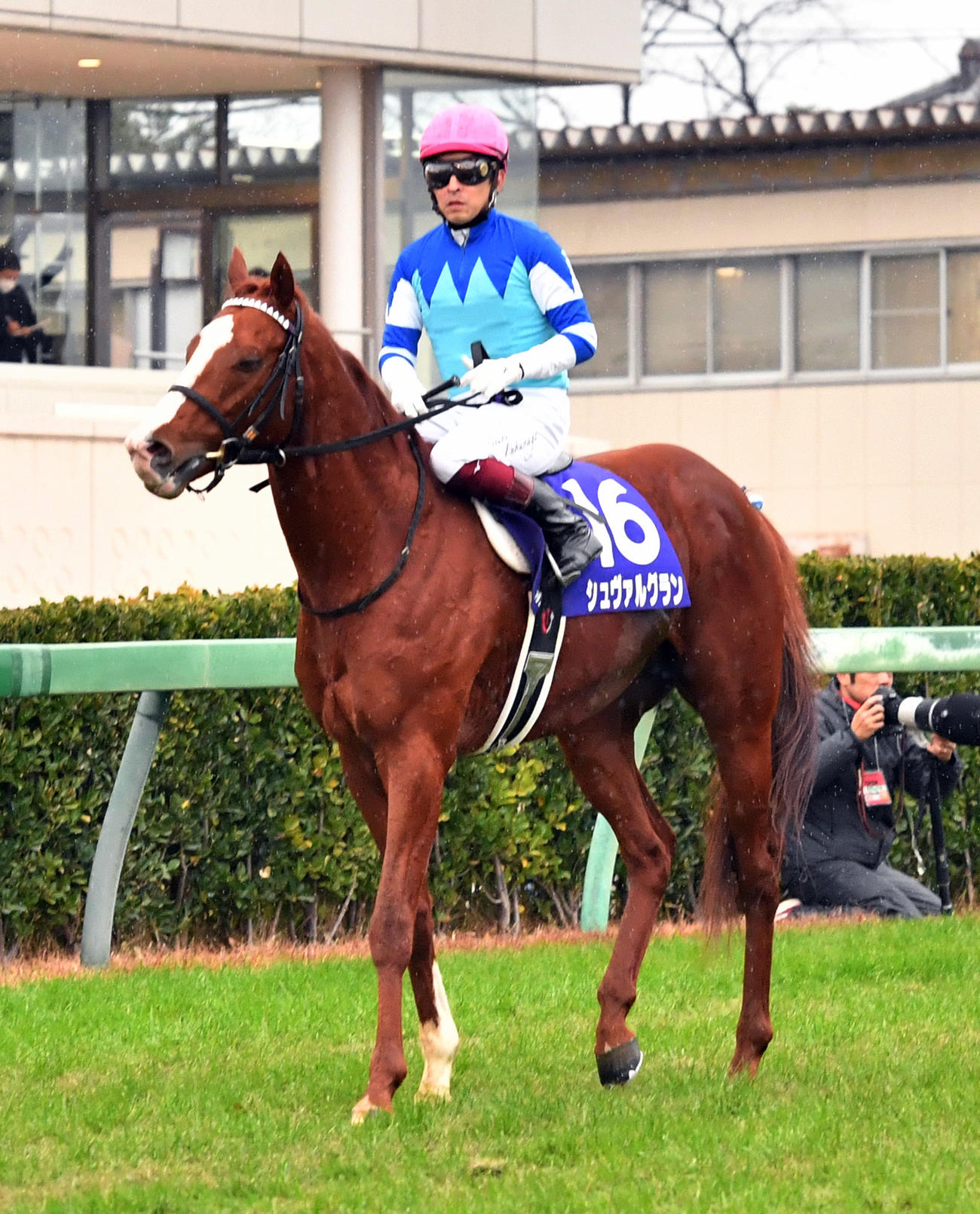 19年有馬記念で6着に敗れたシュヴァルグランと福永騎手