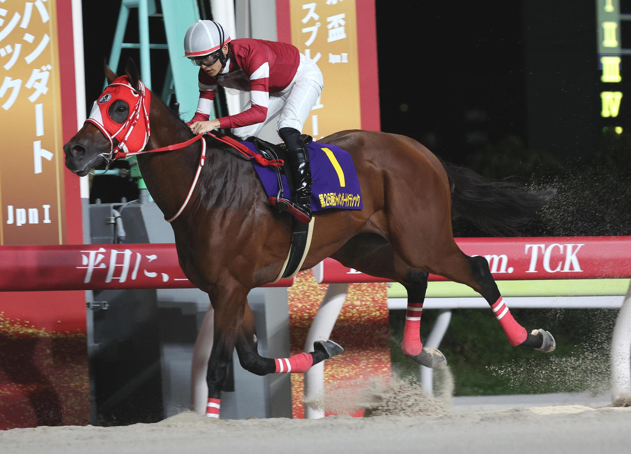 フォーエバーヤングと坂井瑠星騎手（2024年撮影）