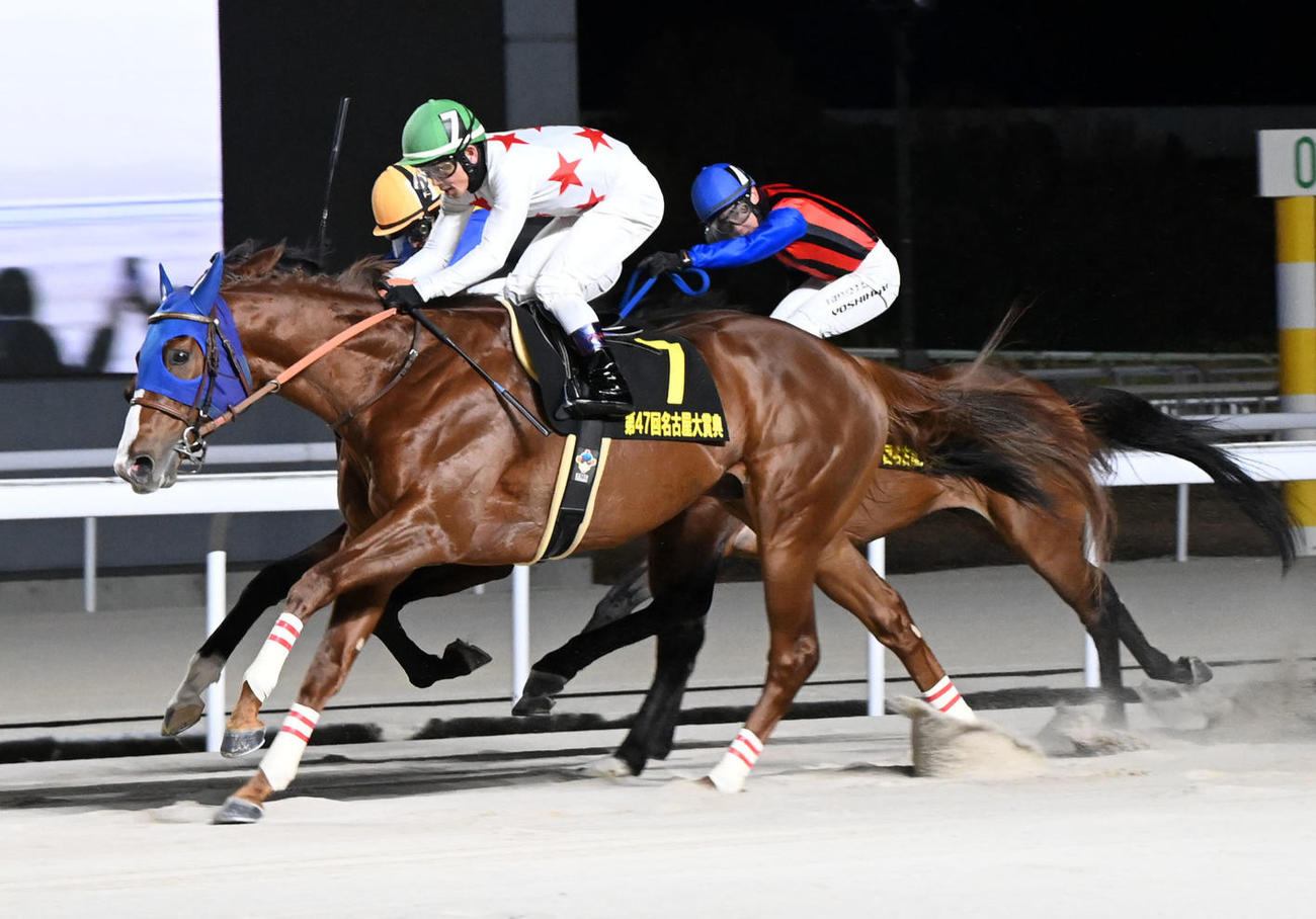 名古屋大賞典3着に入った高知のシンメデージー（右）。手前は勝ったミッキーファイト（撮影・前岡正明）
