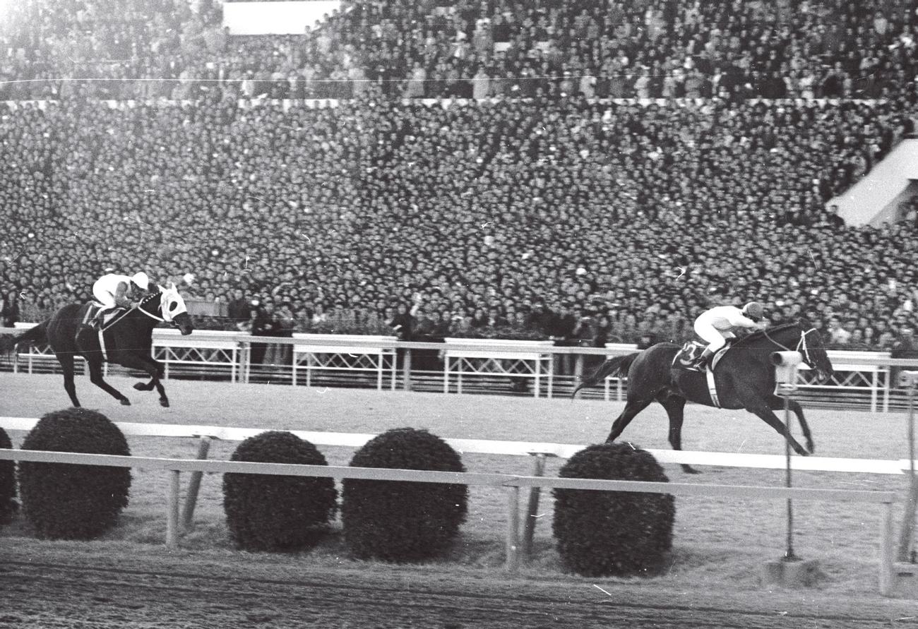 74年有馬記念をハイセイコー、タケホープに大差をつけ制したタニノチカラ（右）