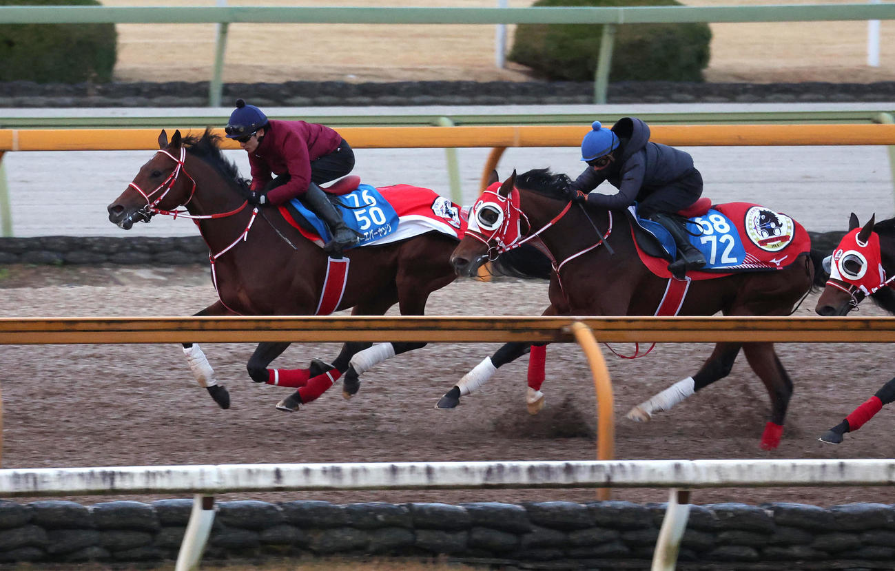 坂井騎手を背にCウッドを併せ馬で追い切るフォーエバーヤング（左）（撮影・白石智彦）