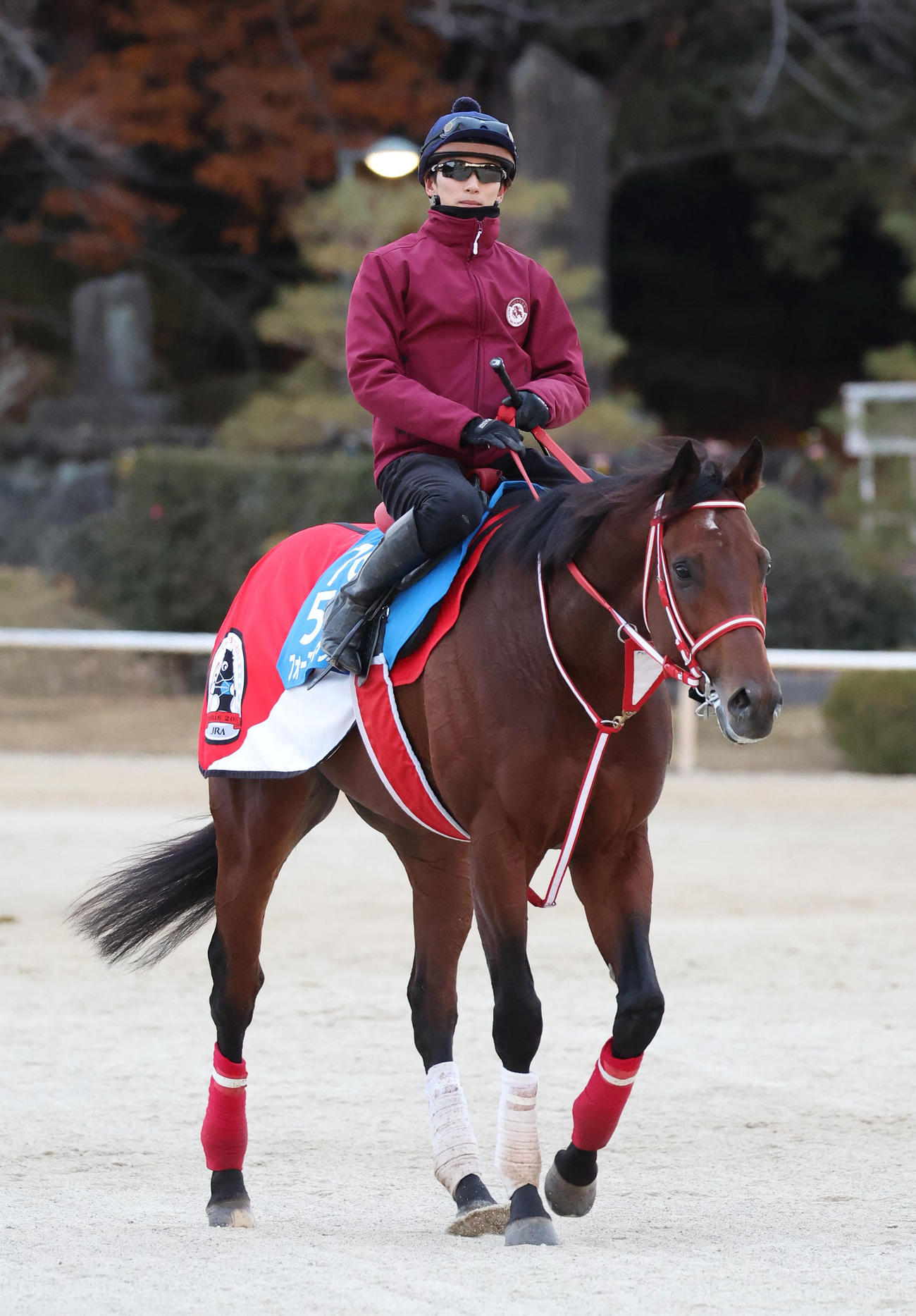 坂井騎手を背に調教から引き揚げるフォーエバーヤング（撮影・白石智彦）