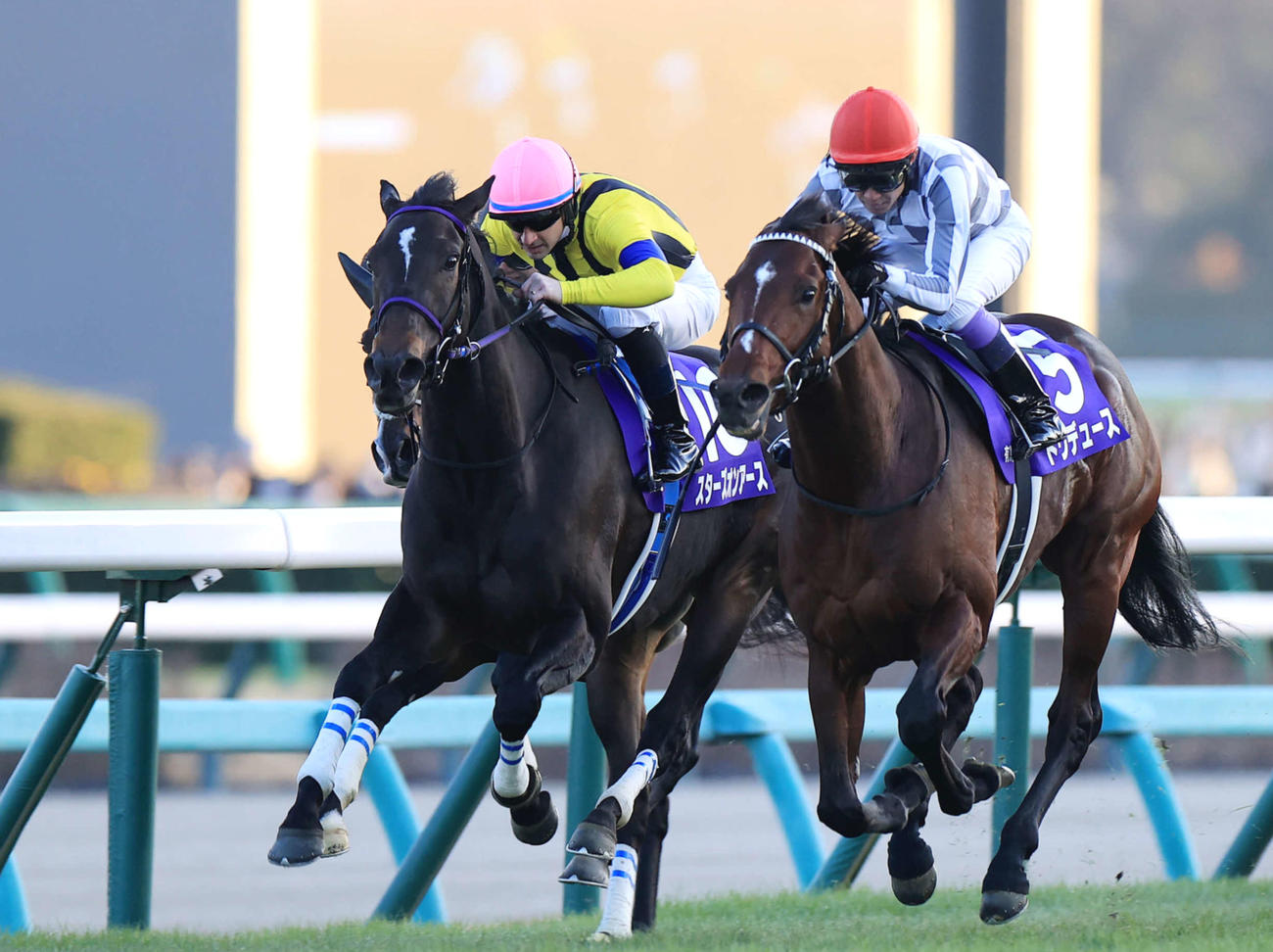 23年12月24日、有馬記念を勝利したドウデュース（右）。左は2着に敗れたスターズオンアース