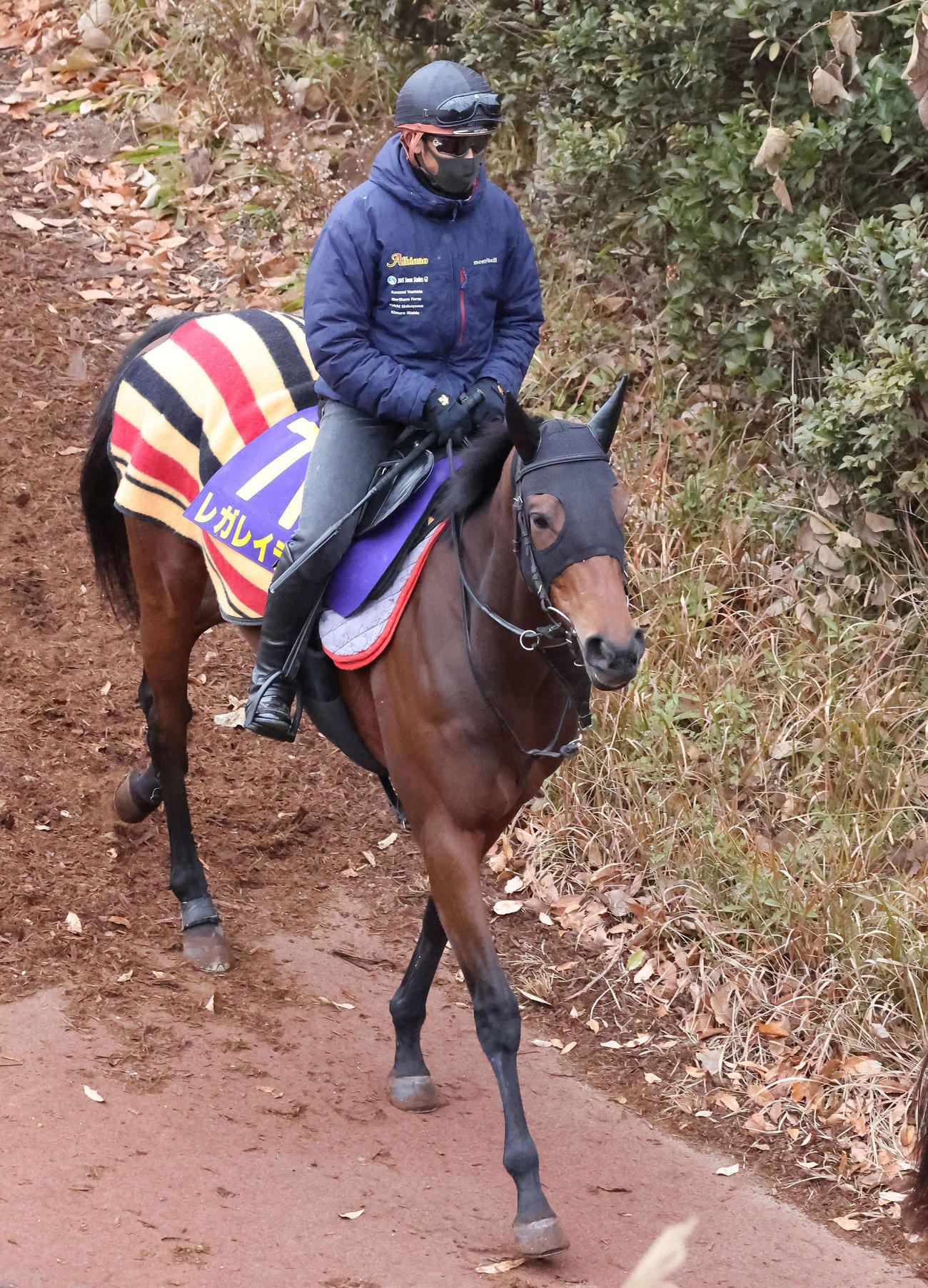 19日の美浦、逍遥馬道で運動するレガレイラ