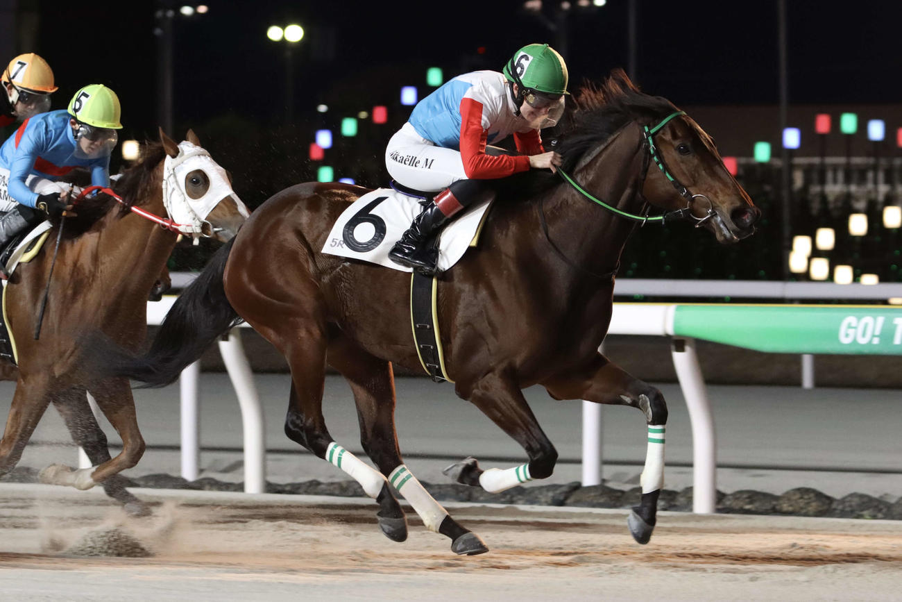 プラタナススプリントをフブキで制し今回の短期免許で17勝目のM・ミシェル騎手