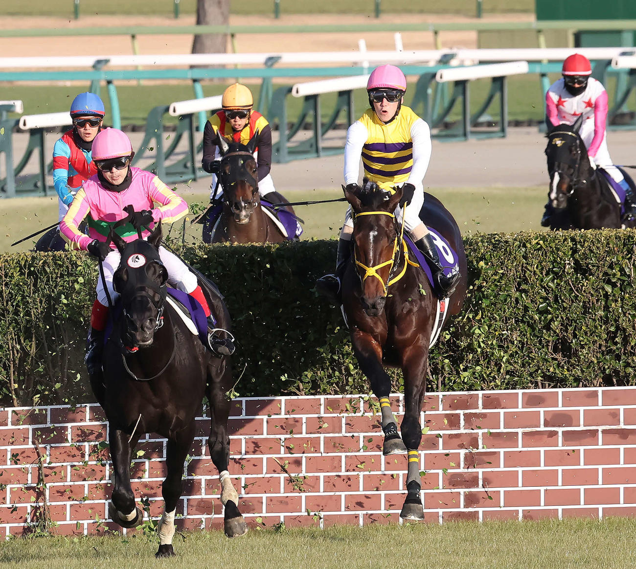 中山10R、中山大障害を制したニシノデイジーと五十嵐騎手（右から2頭目）（撮影・丹羽敏通）