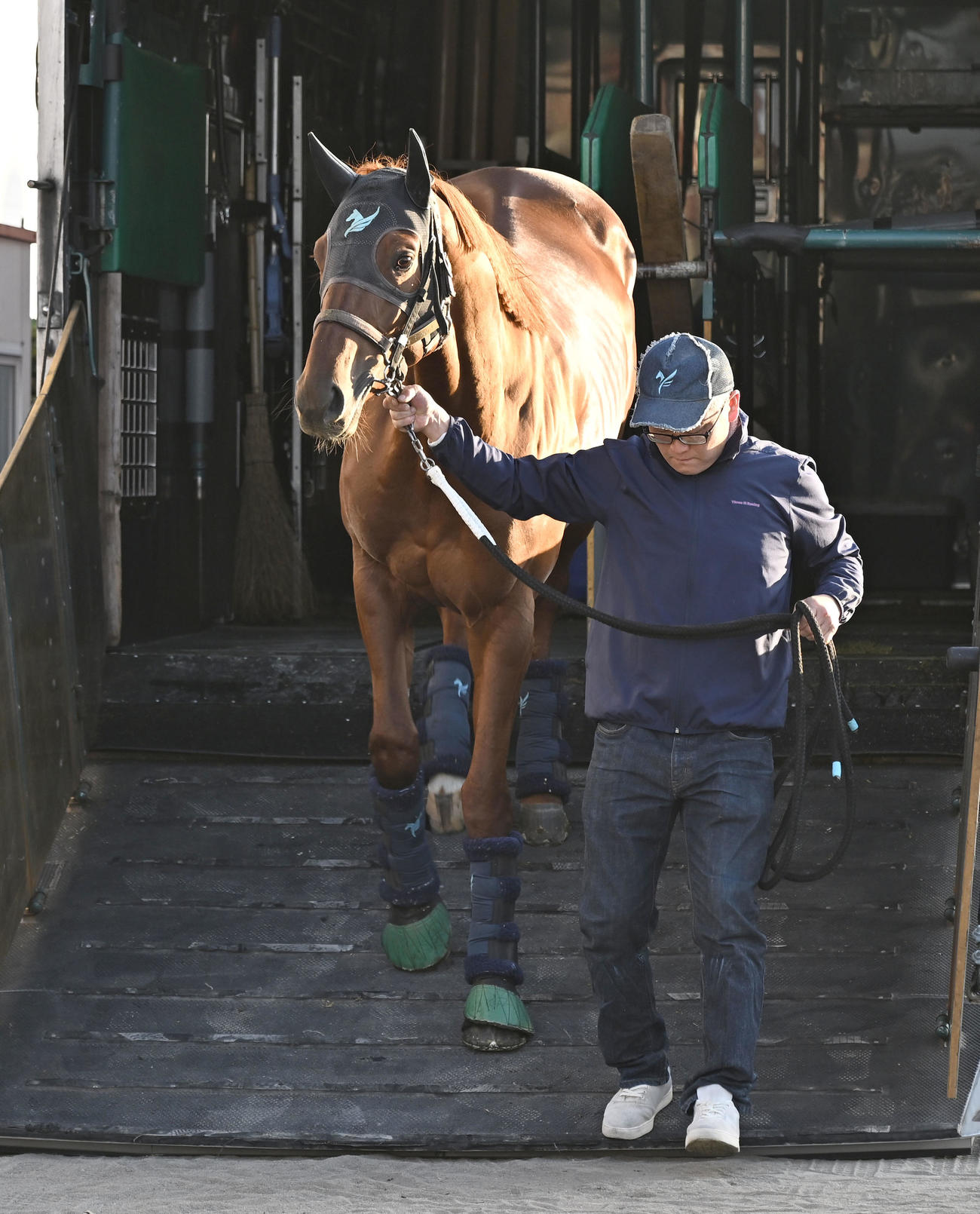 中山競馬場に到着したダノンデサイル（撮影・千葉一成）