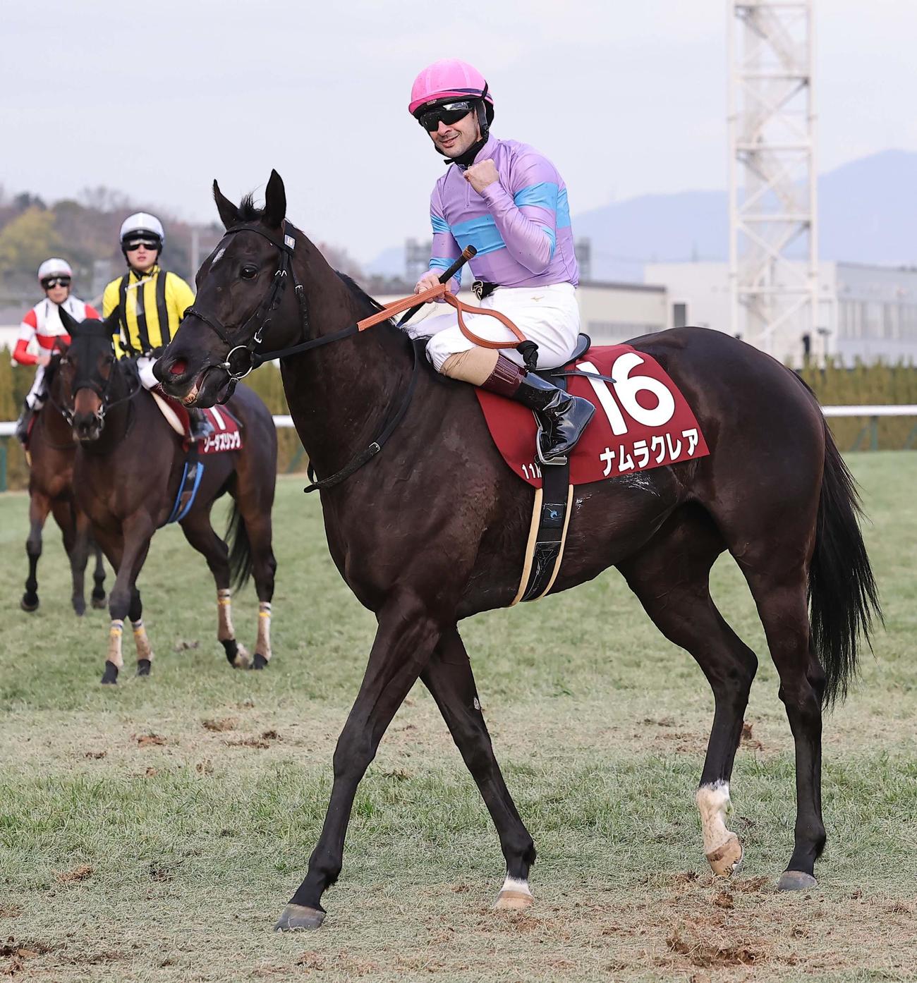 11R阪神カップ　ナムラクレアで勝利したC・ルメール騎手はガッツポーズをする（撮影・上田博志）